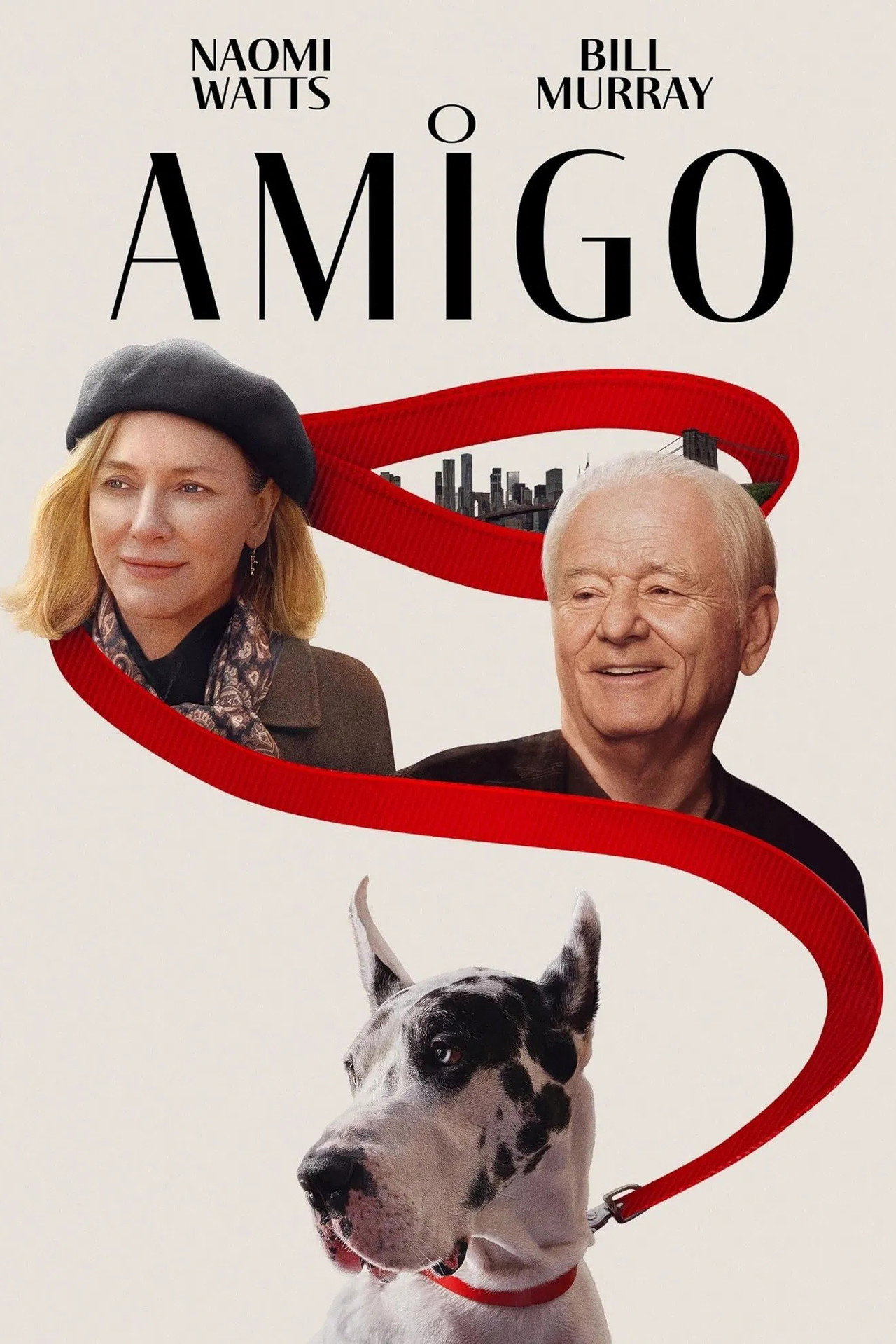 Pôster de O Amigo