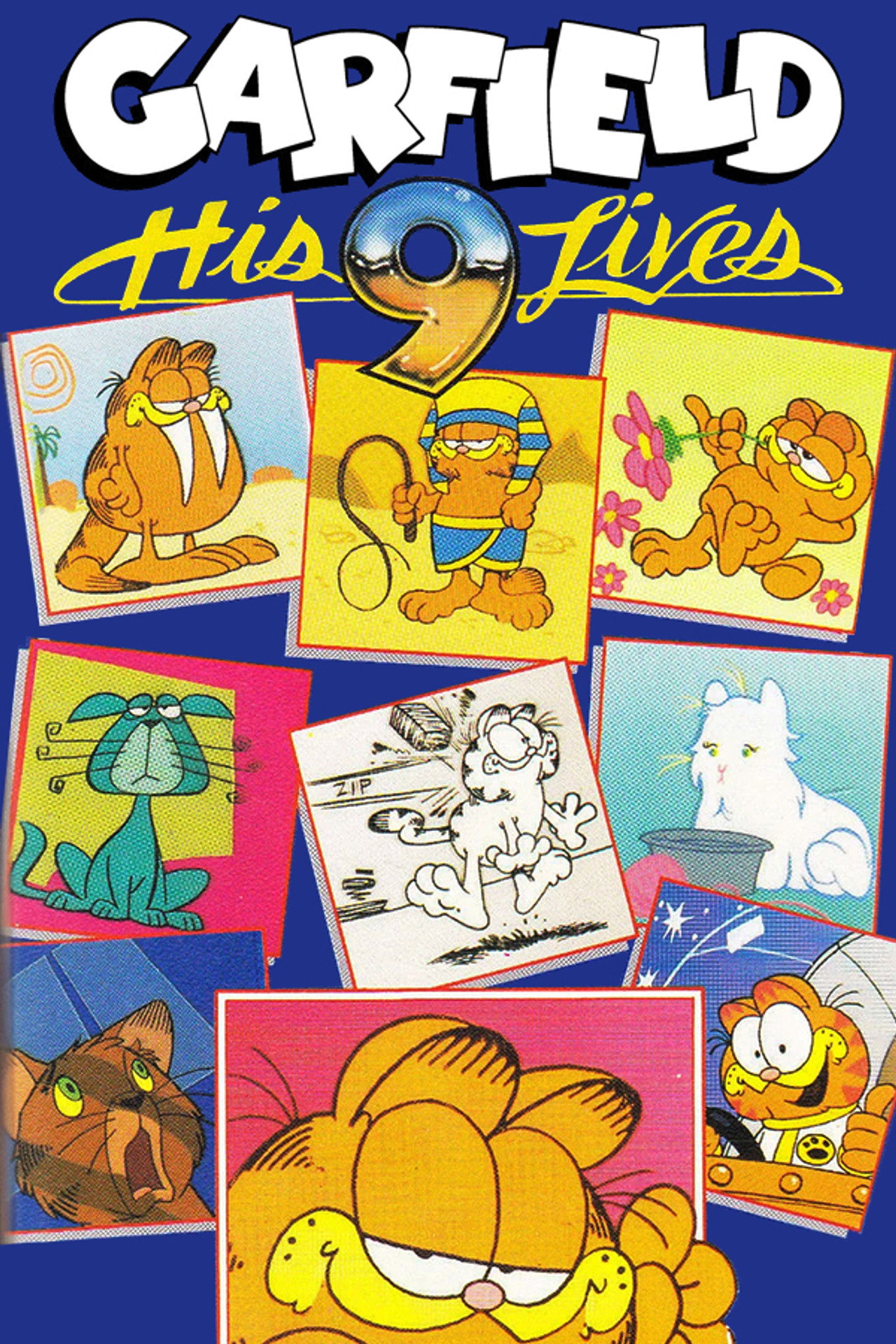 Pôster de Garfield: His 9 Lives