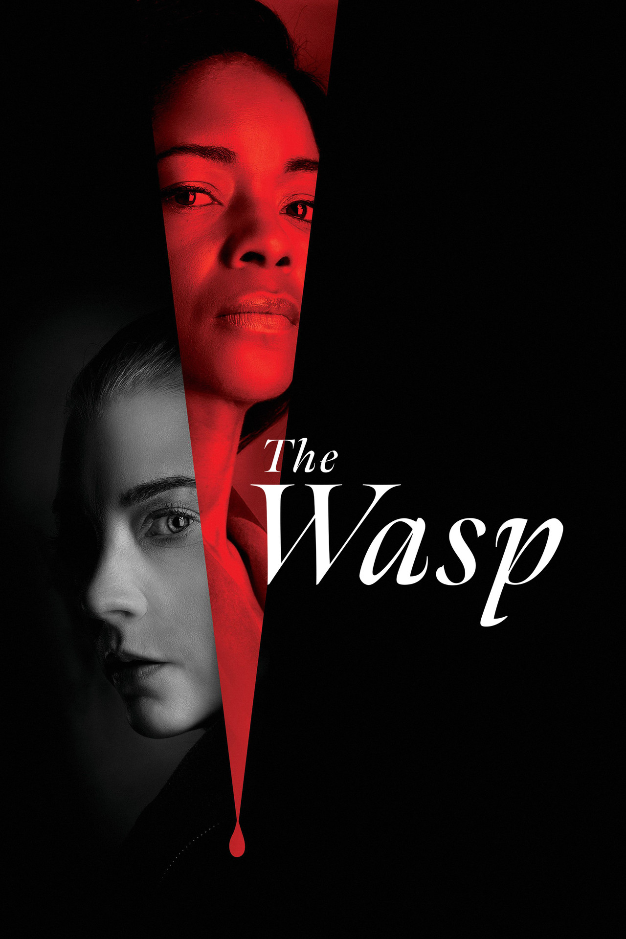 Pôster de The Wasp