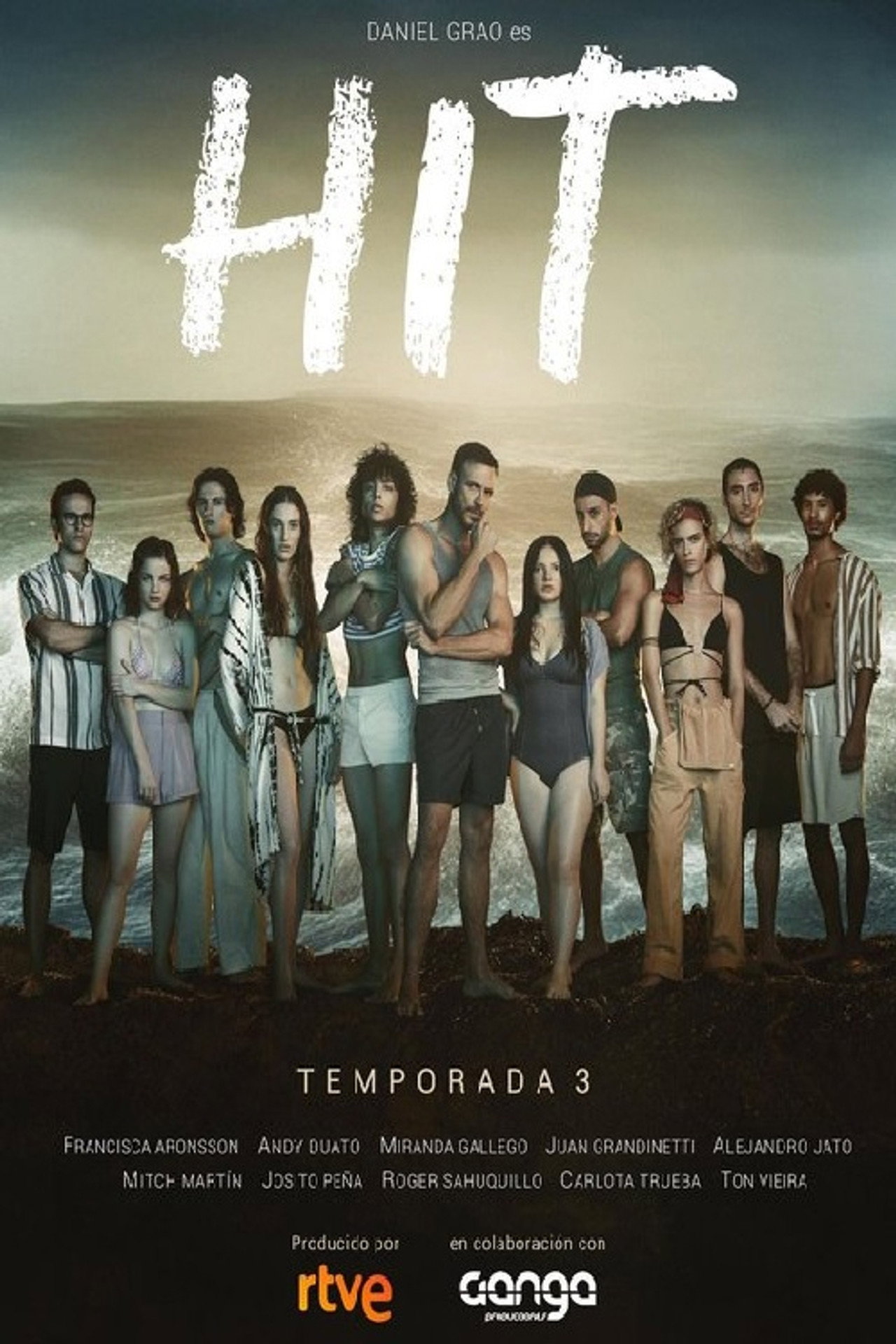 Pôster de HIT