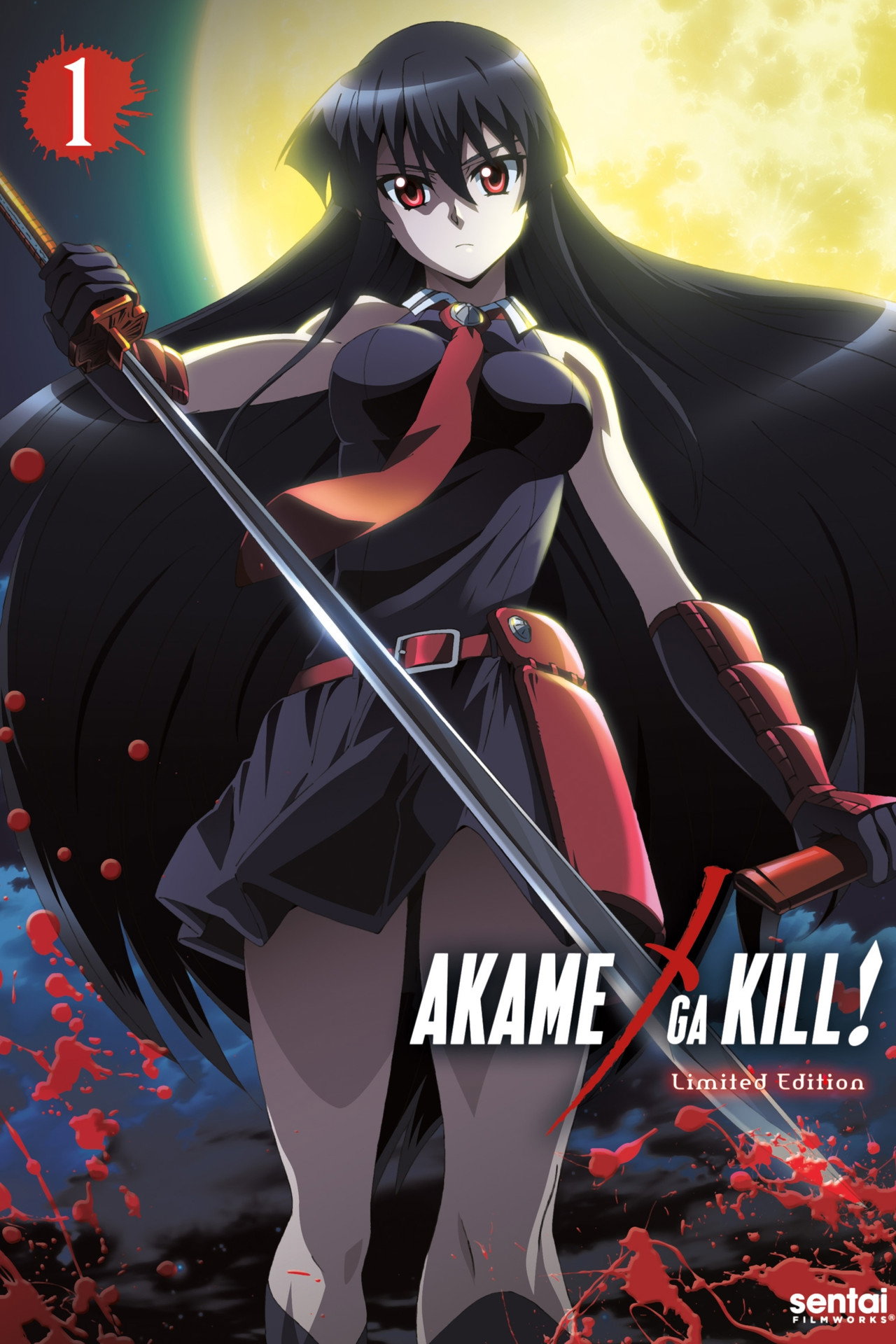 Pôster de Akame ga Kill!