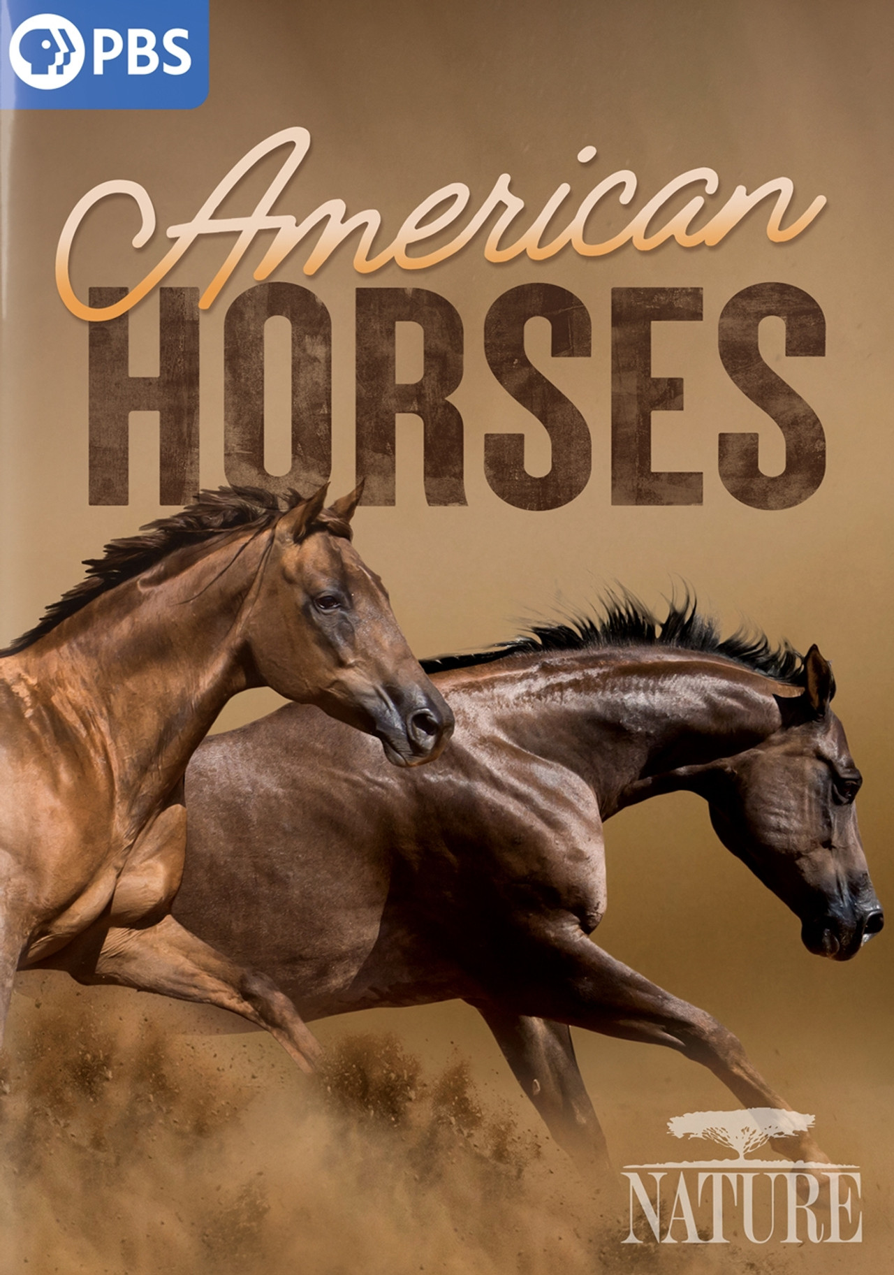 Pôster de American Horses