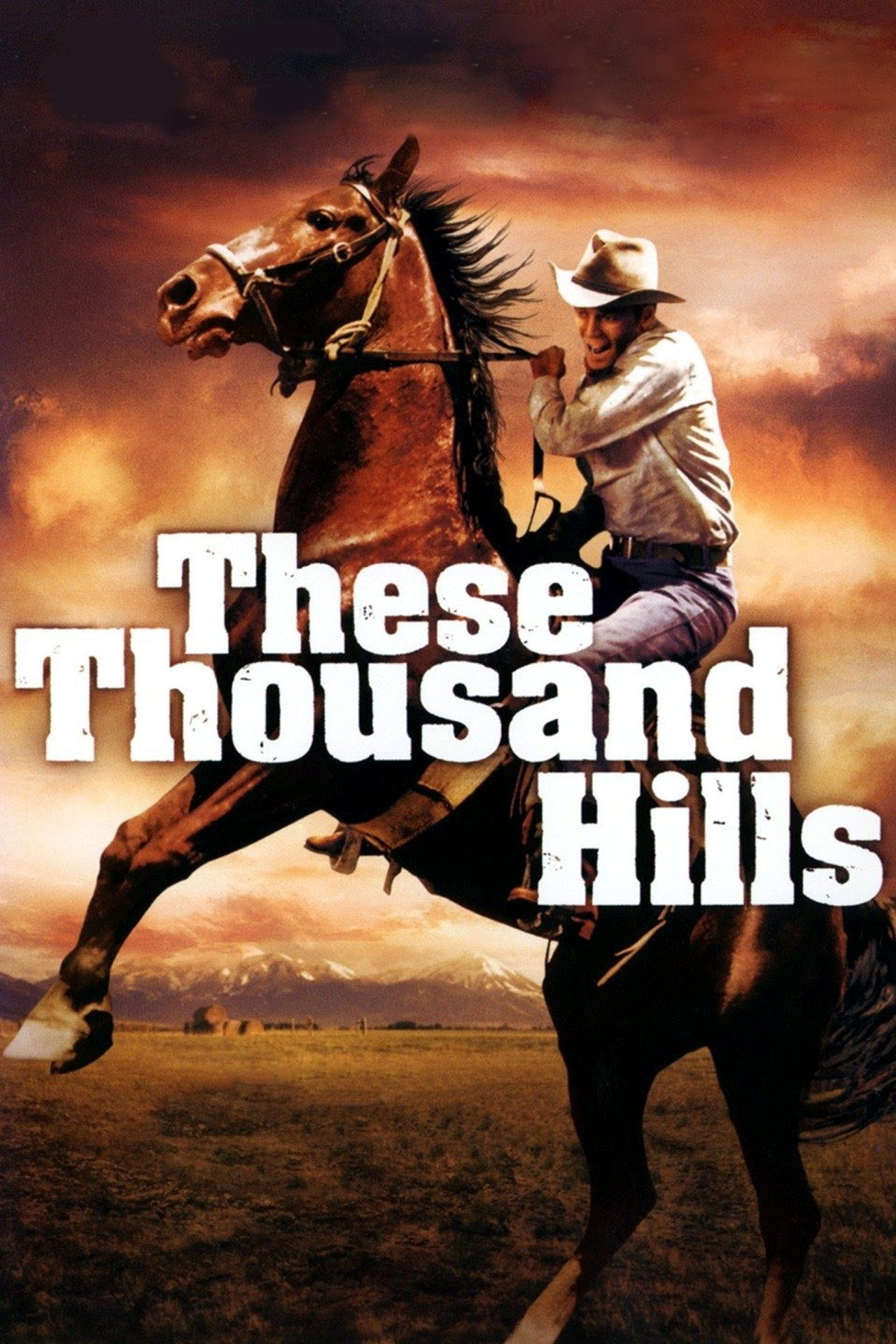 Pôster de These Thousand Hills