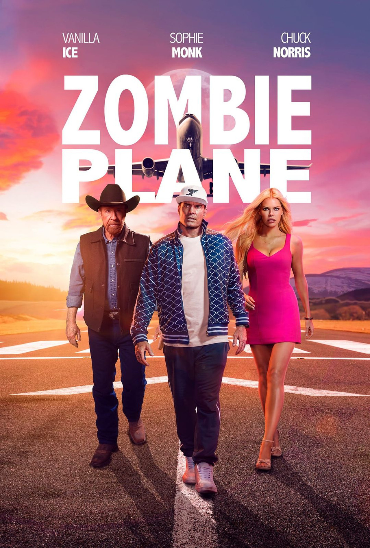 Pôster de Zombie Plane