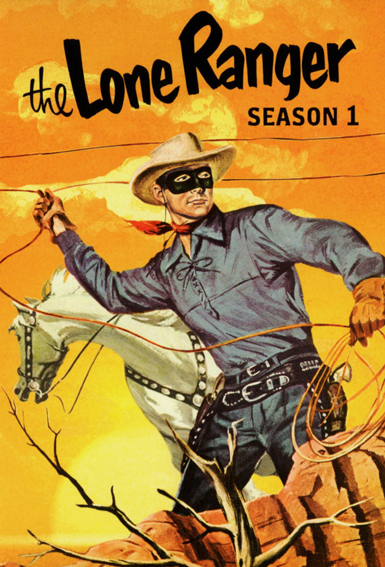 Pôster de The Lone Ranger