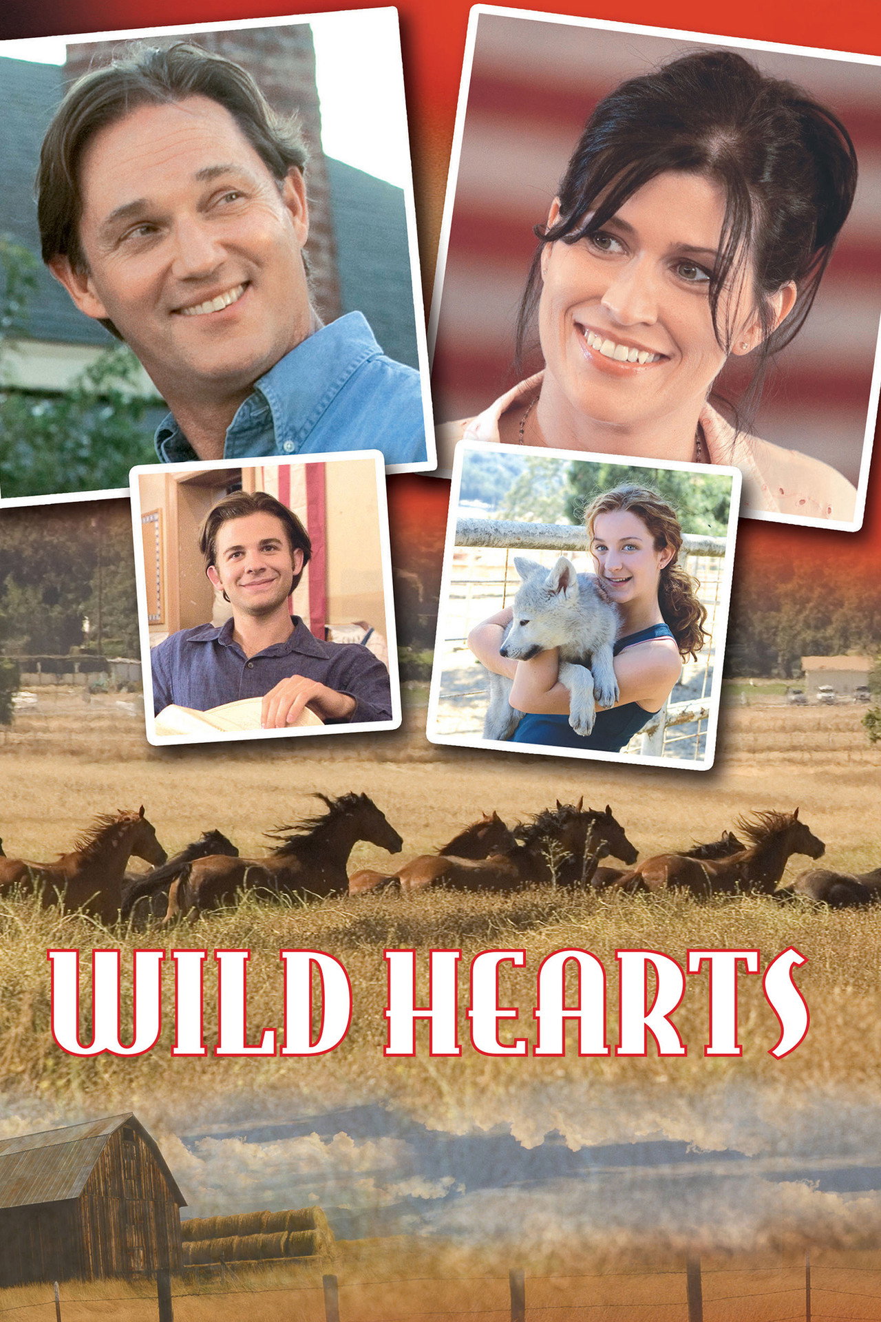 Pôster de Wild Hearts