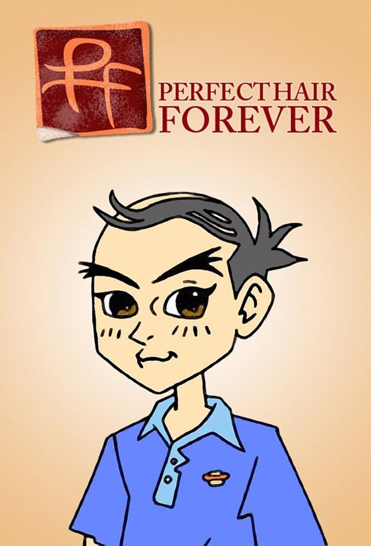 Pôster de Perfect Hair Forever