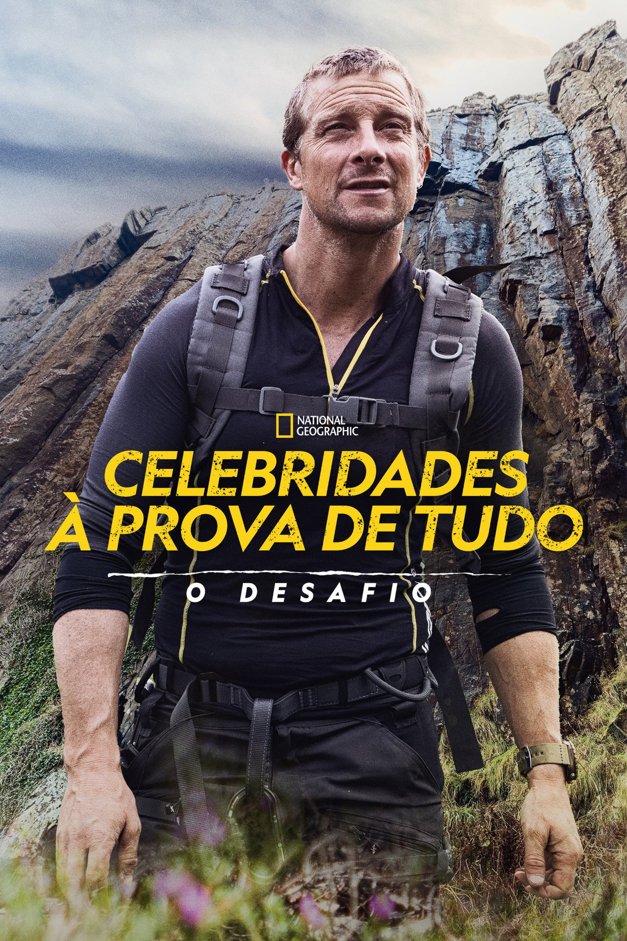 Pôster de Celebridades à Prova de Tudo: O Desafio