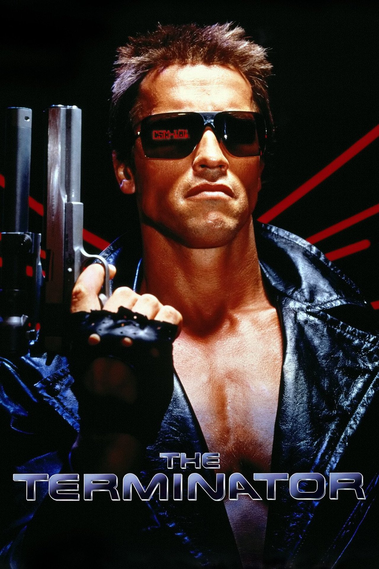 Pôster de The Terminator