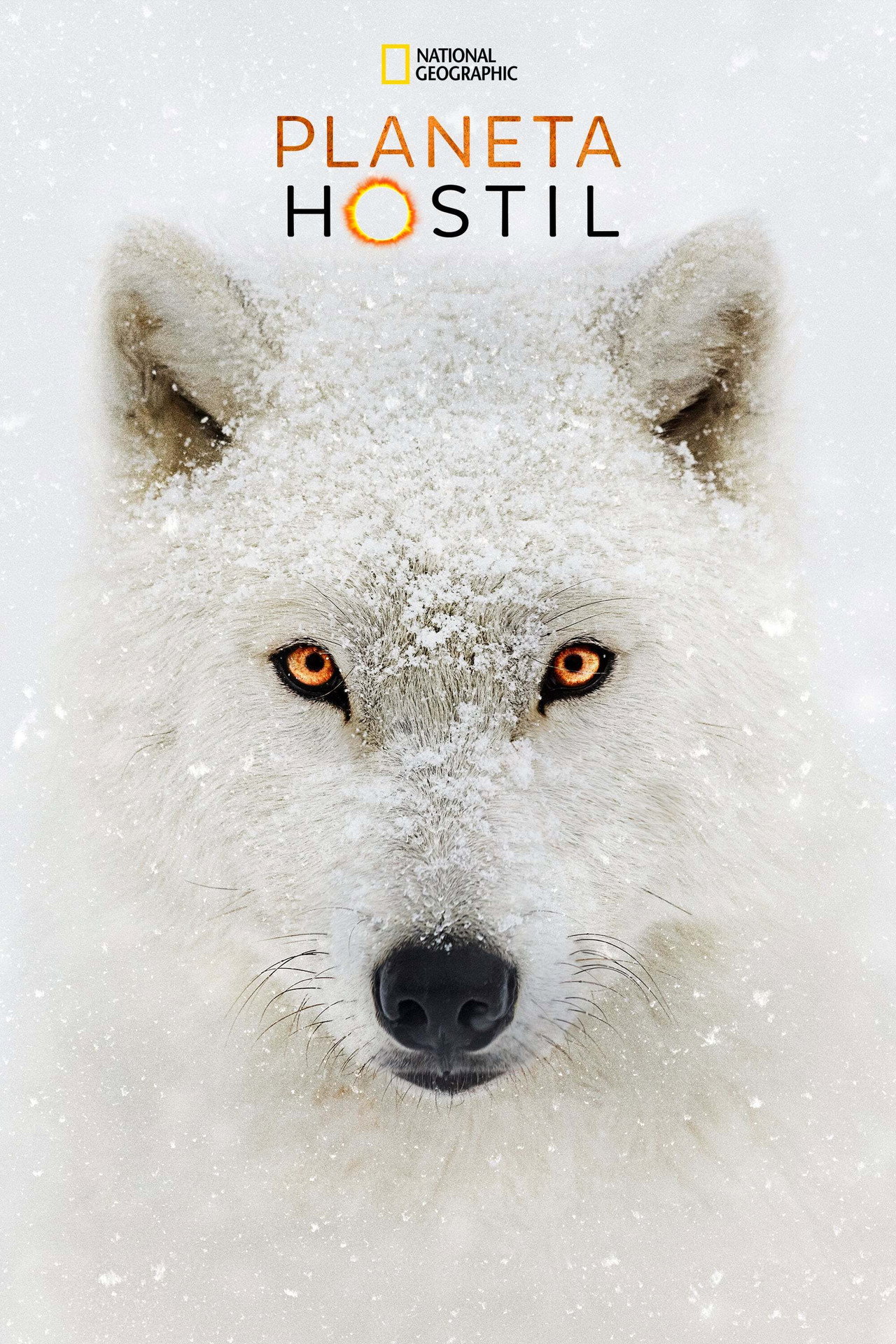Pôster de Planeta Hostil