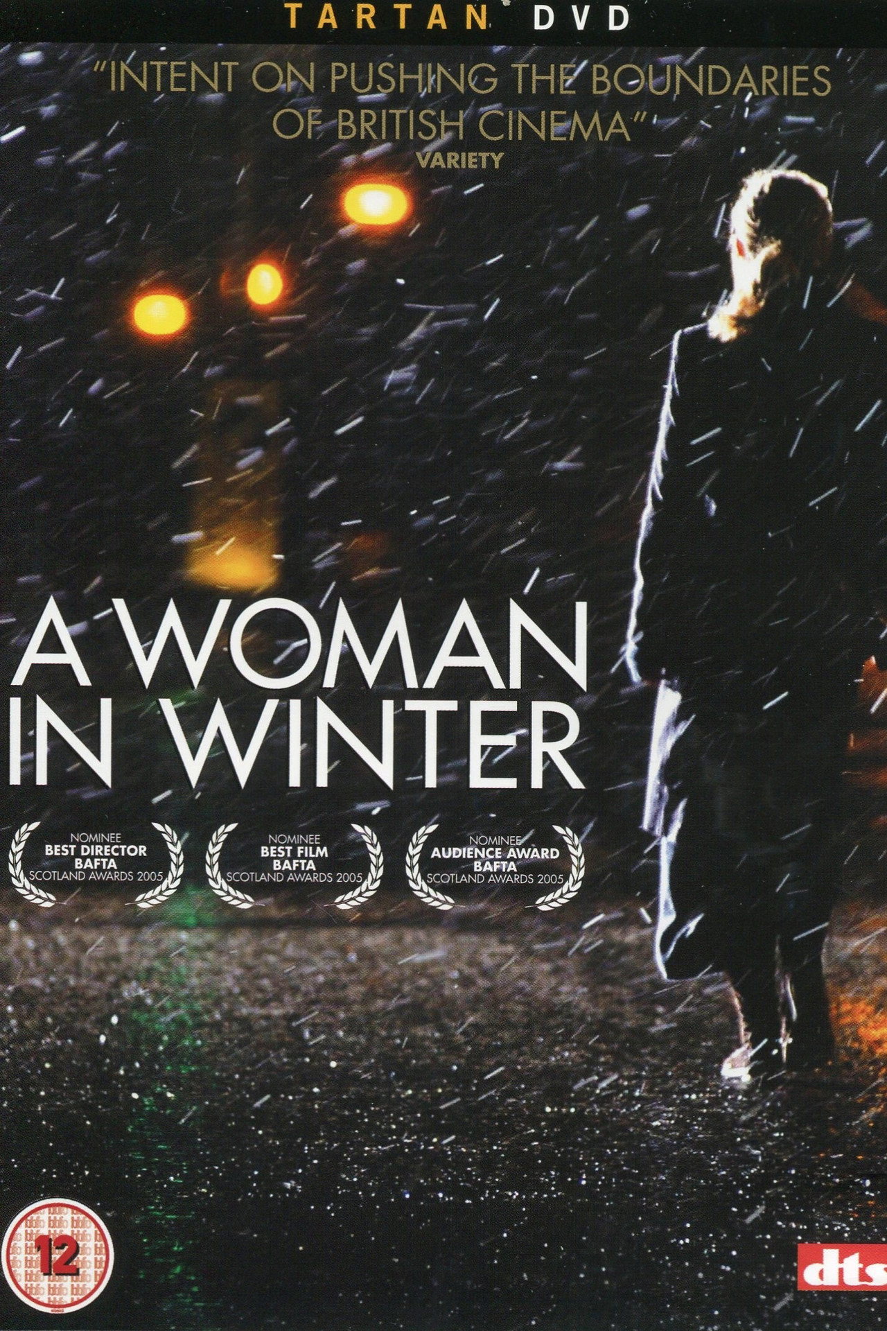Pôster de A Woman in Winter