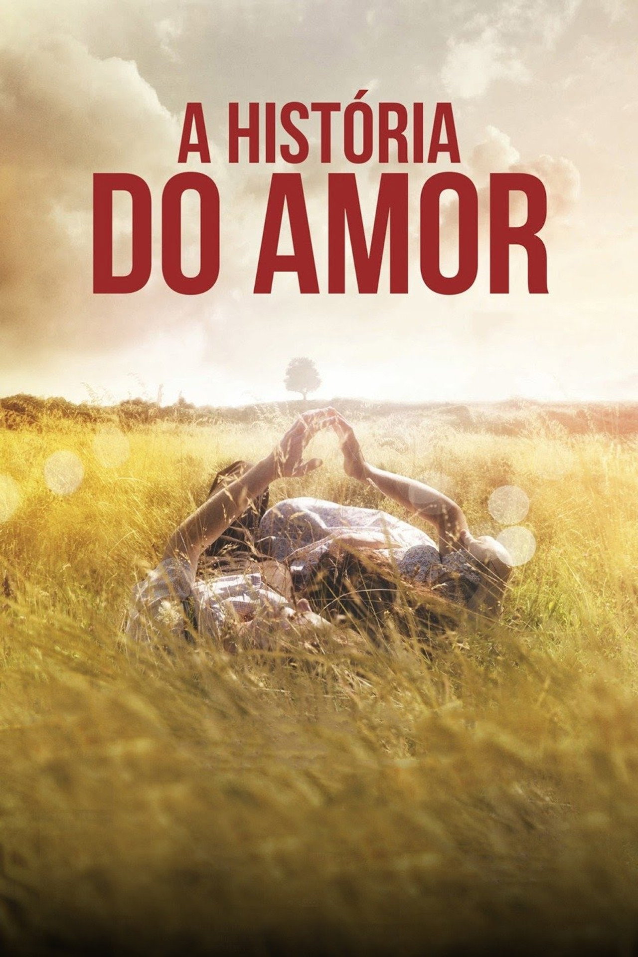 Pôster de A História do Amor