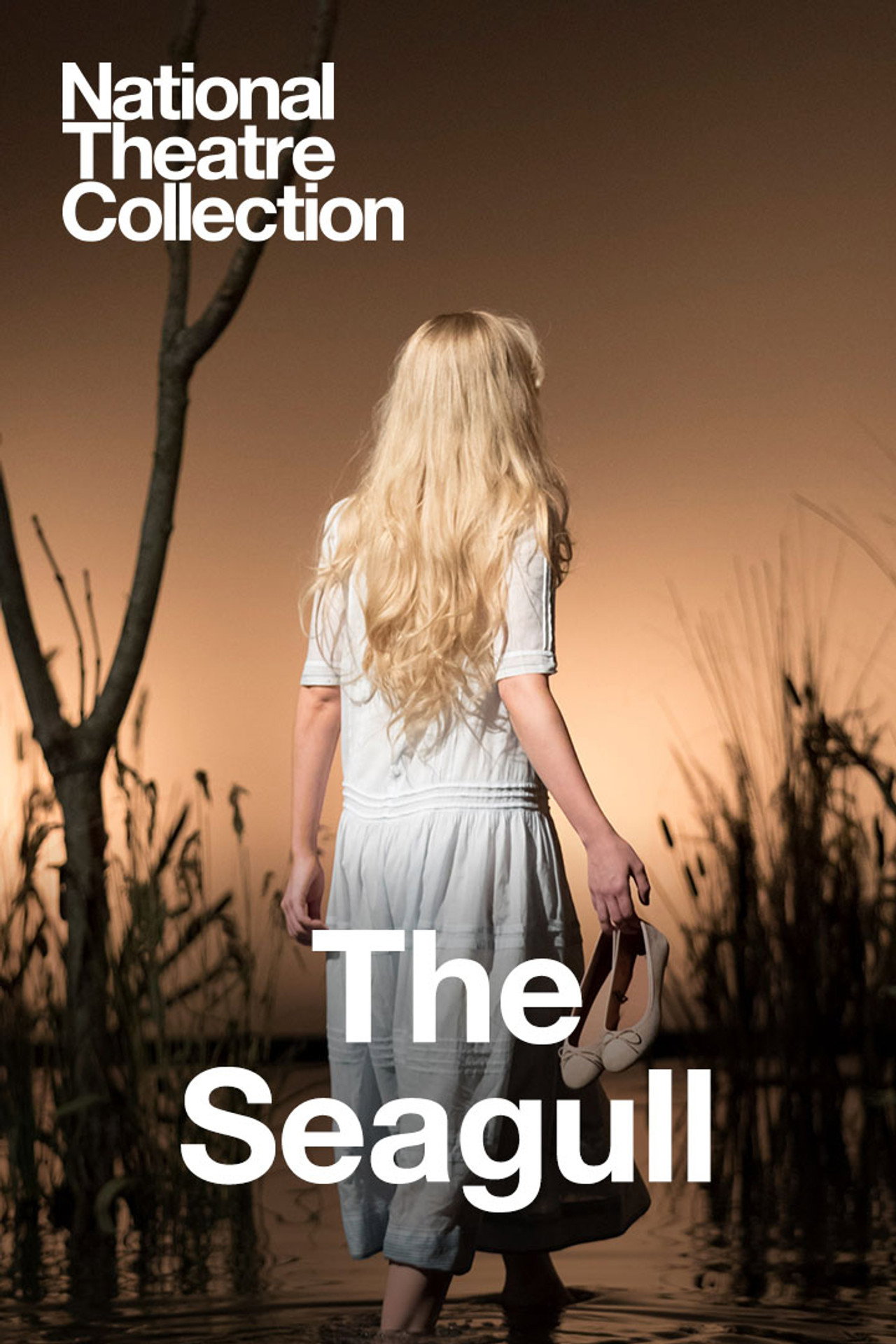 Pôster de National Theatre Live: The Seagull