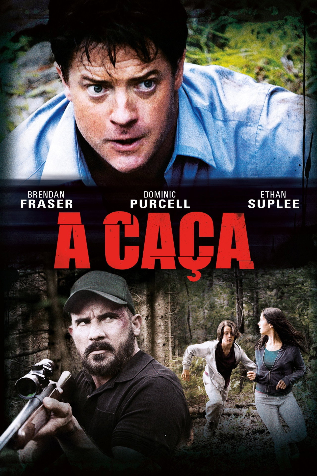 Pôster de A Caça
