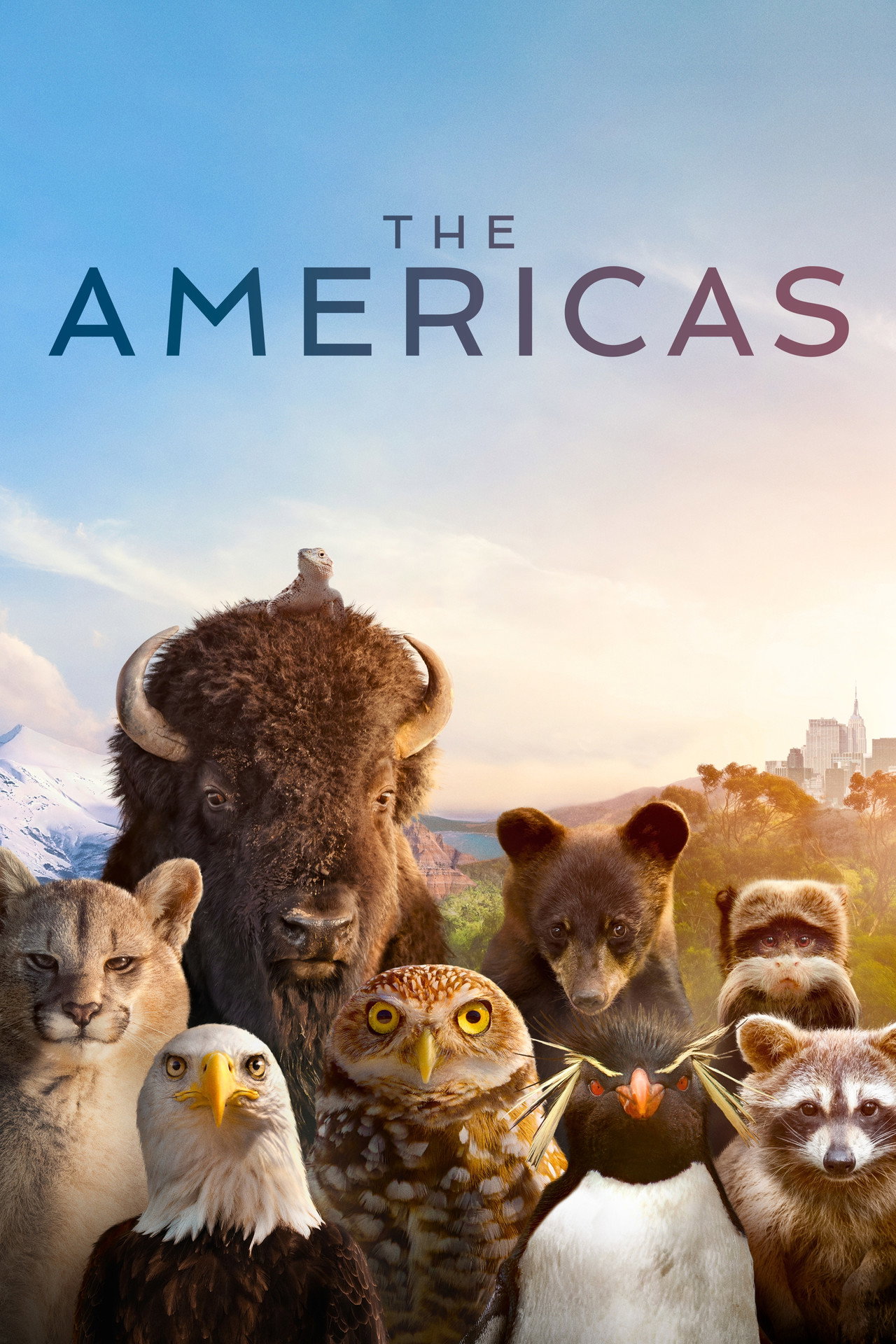 Pôster de The Americas