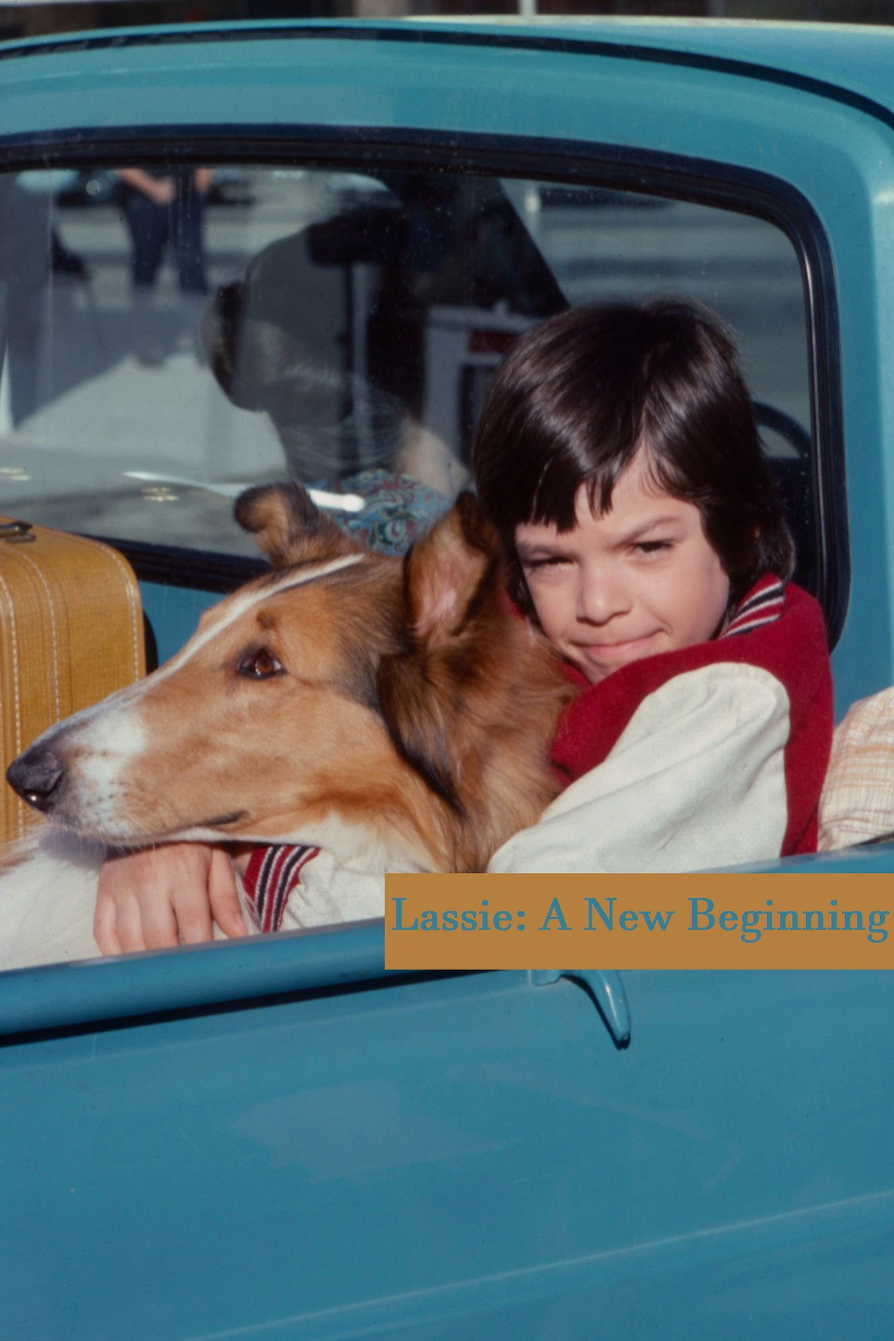 Pôster de Lassie: The New Beginning