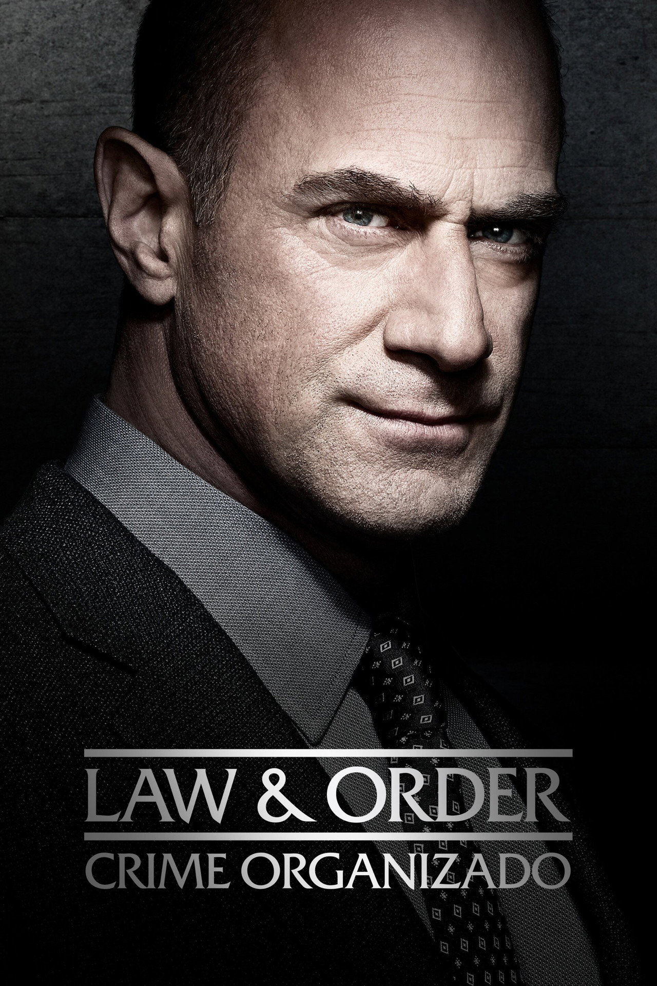 Pôster de Law & Order: Crime Organizado