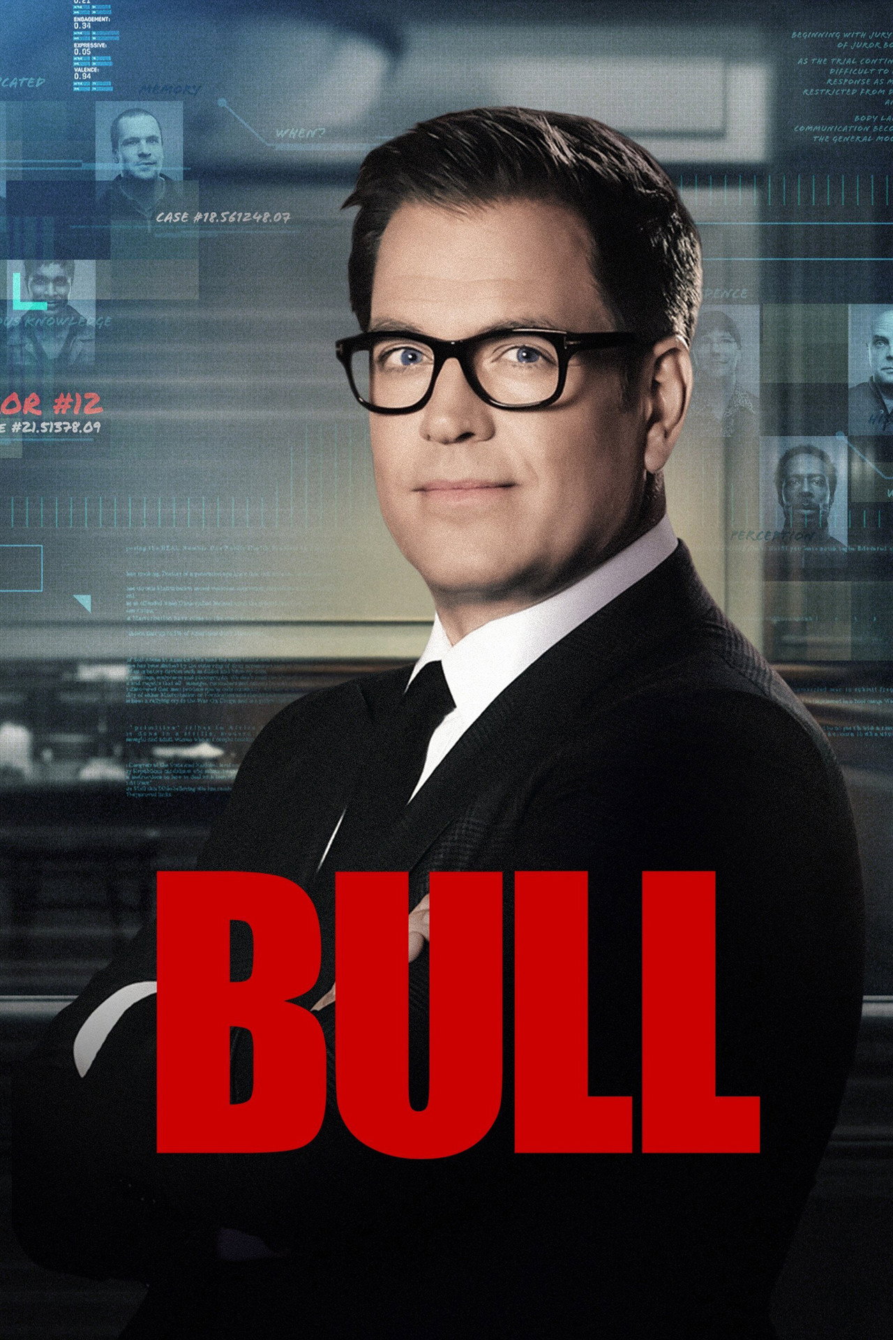 Pôster de Bull