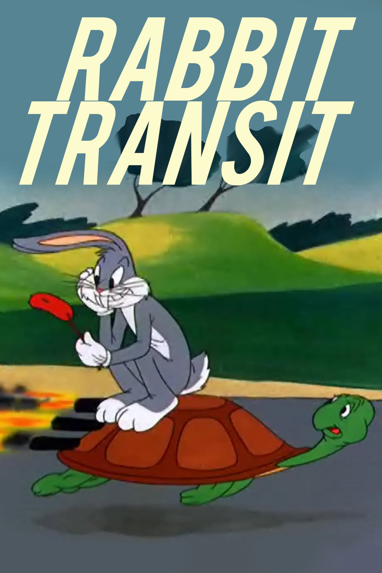 Pôster de Rabbit Transit