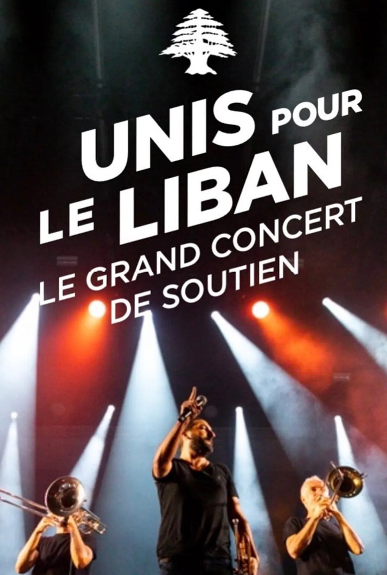 Pôster de Le Grand Concert Unis pour le Liban