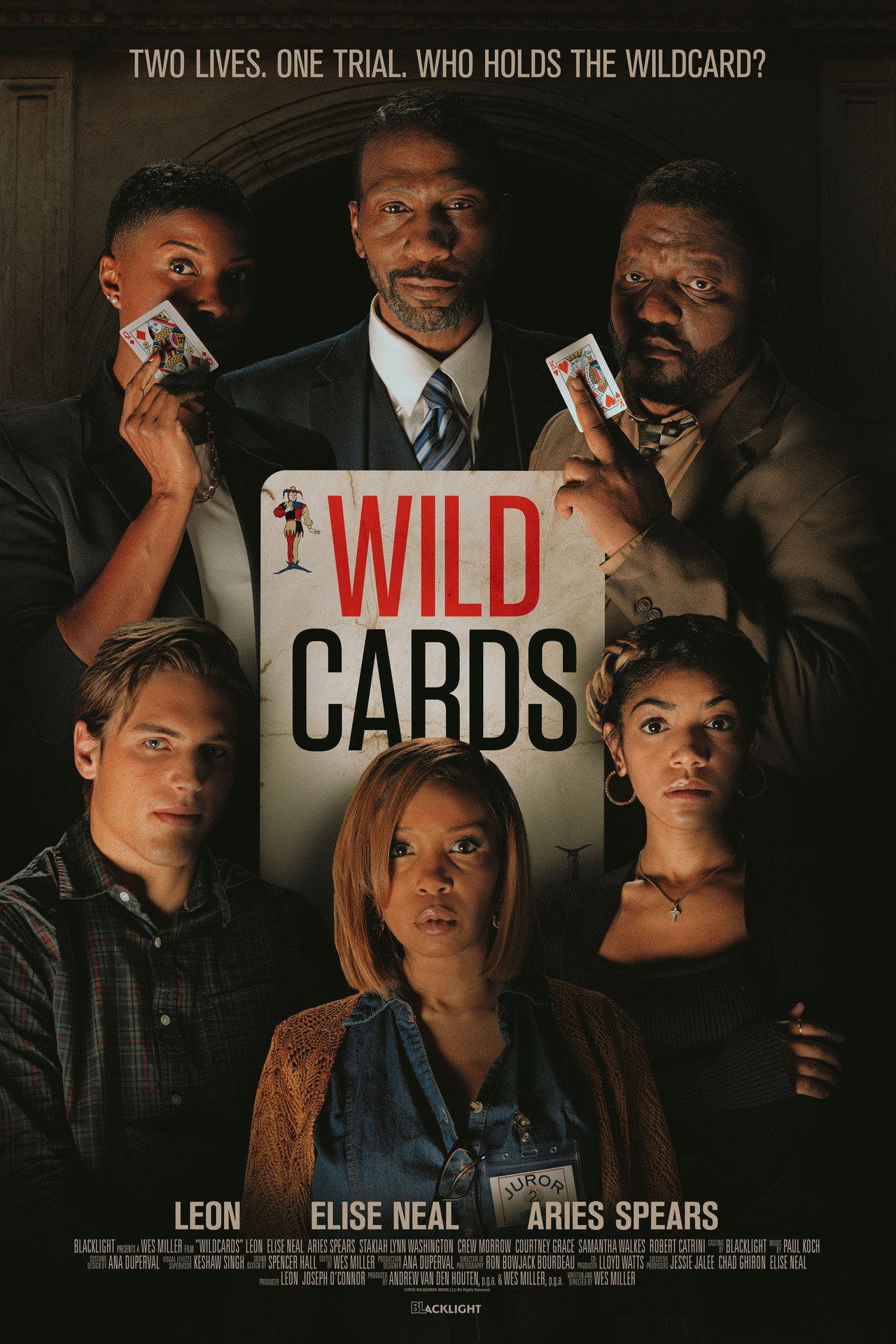 Pôster de Wildcards