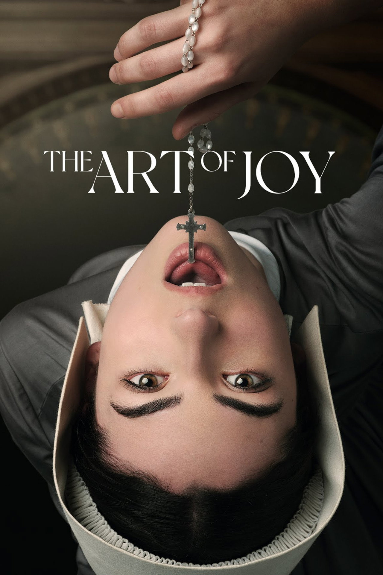Pôster de The Art of Joy