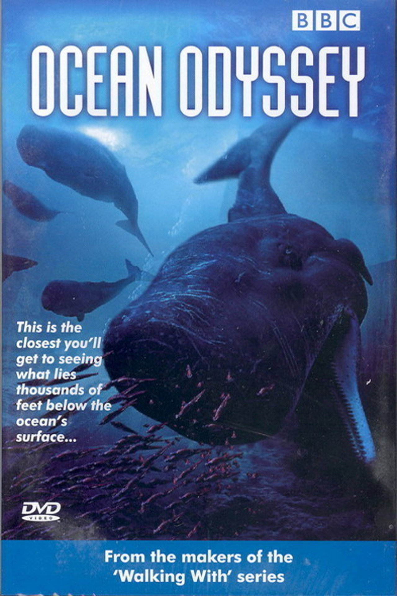 Pôster de Ocean Odyssey
