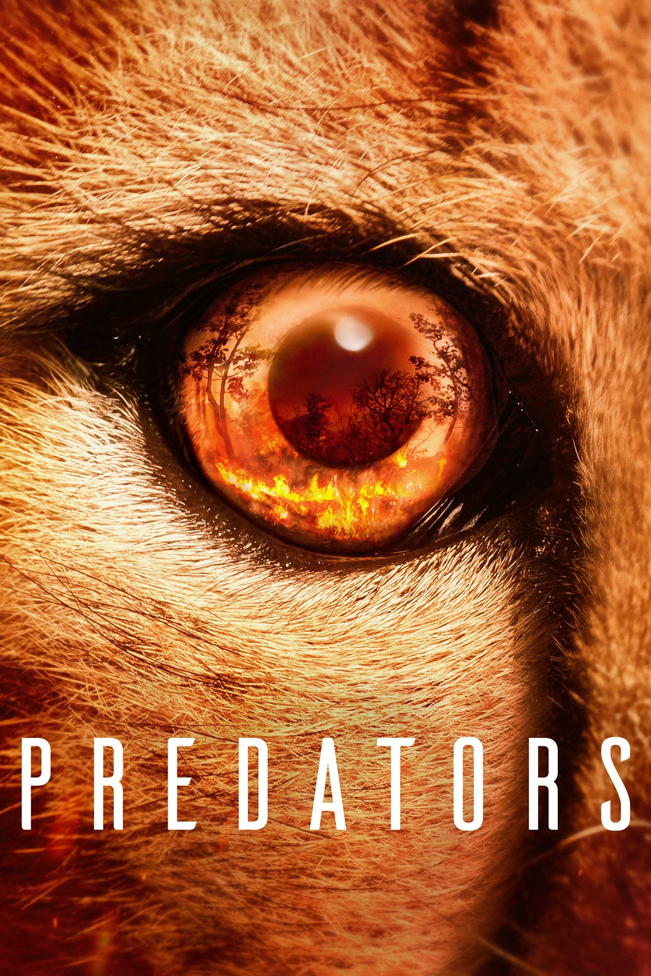 Pôster de Predators