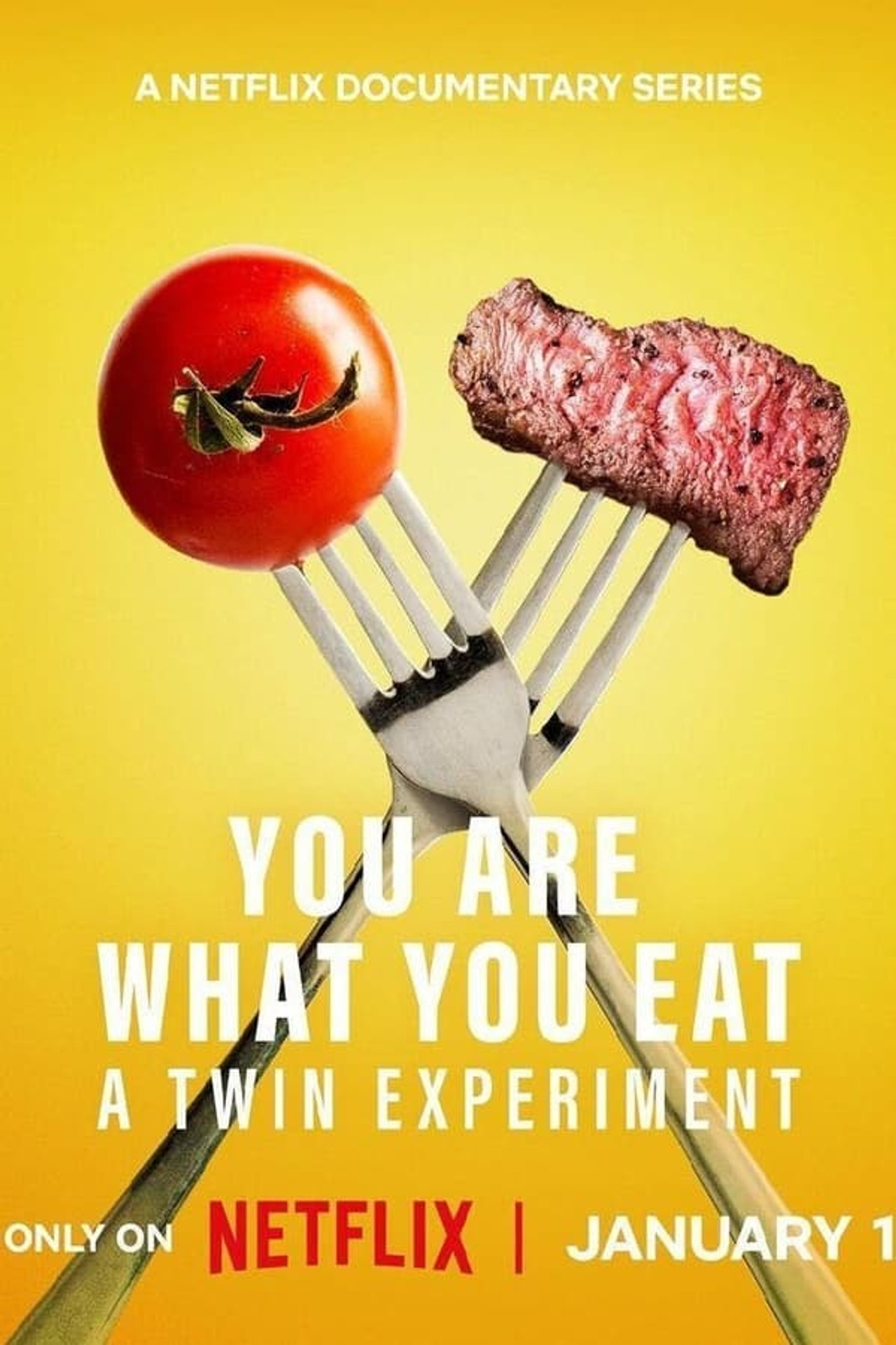 Pôster de You Are What You Eat: A Twin Experiment