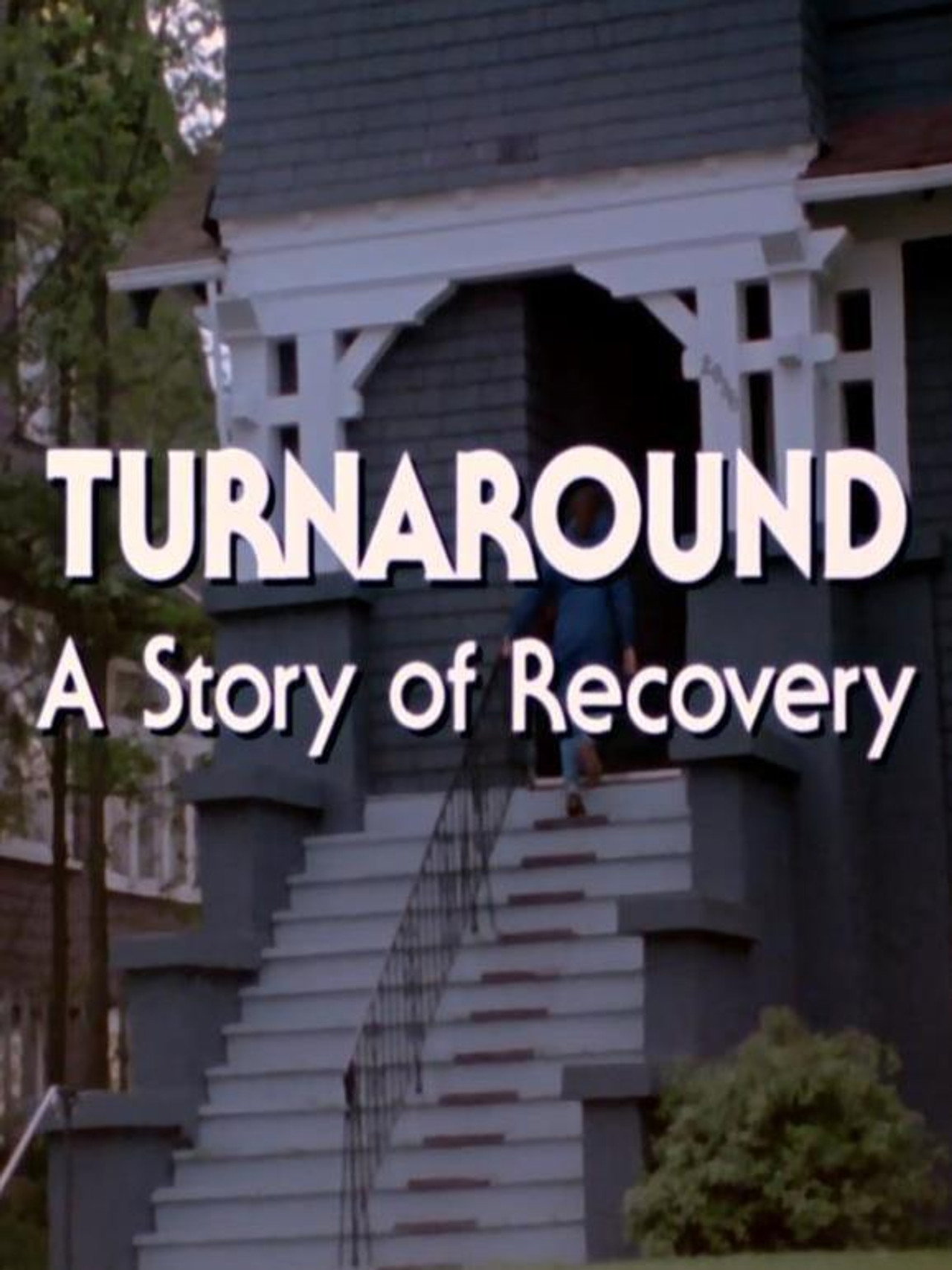 Pôster de Turnaround: A Story of Recovery
