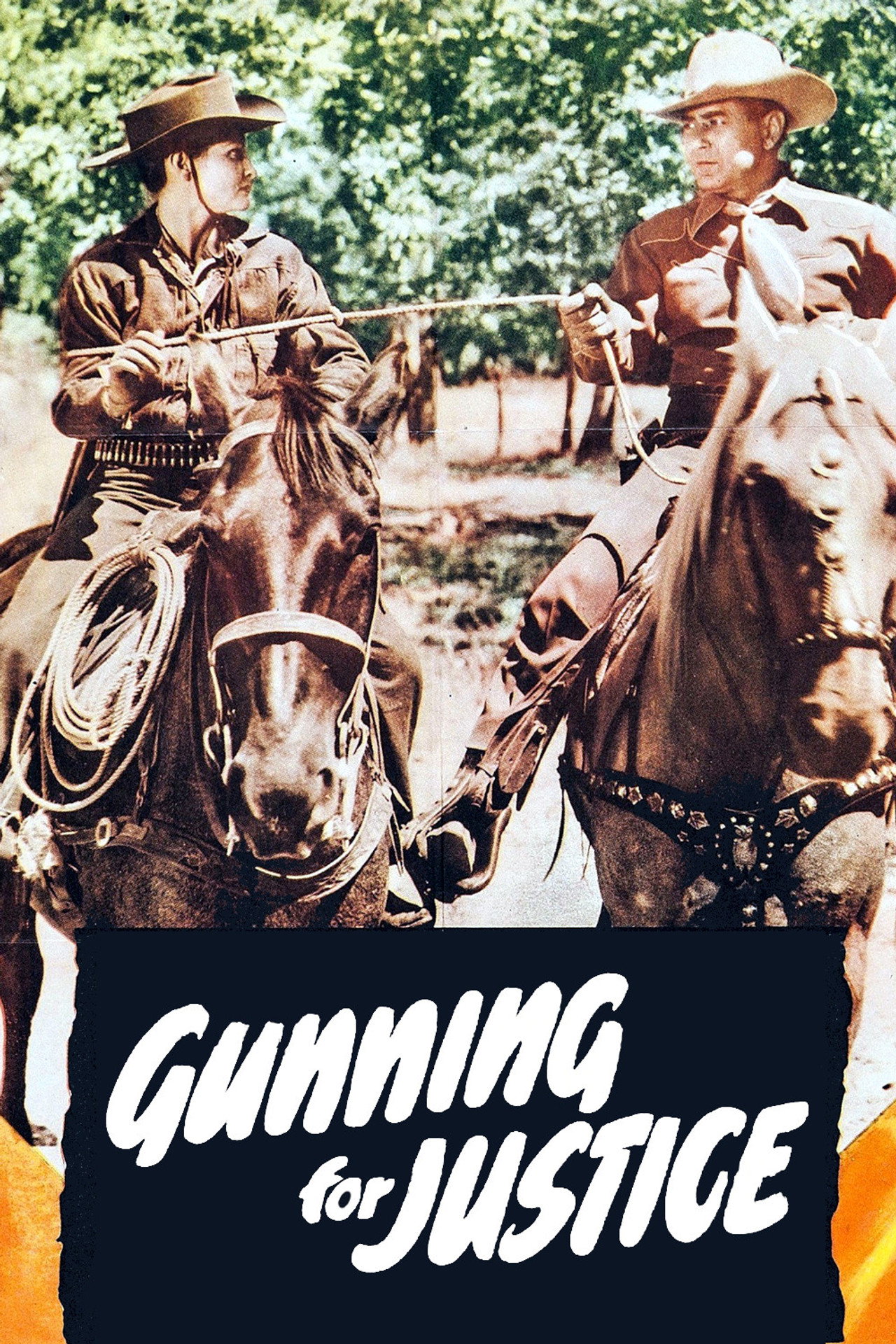 Pôster de Gunning for Justice