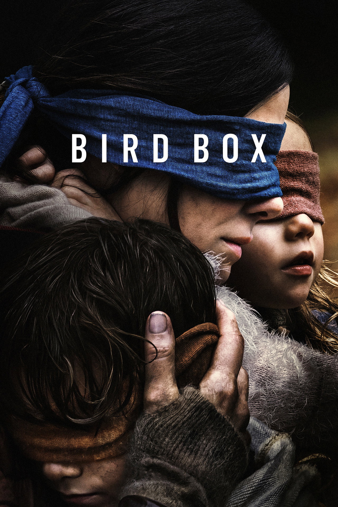 Pôster de Bird Box