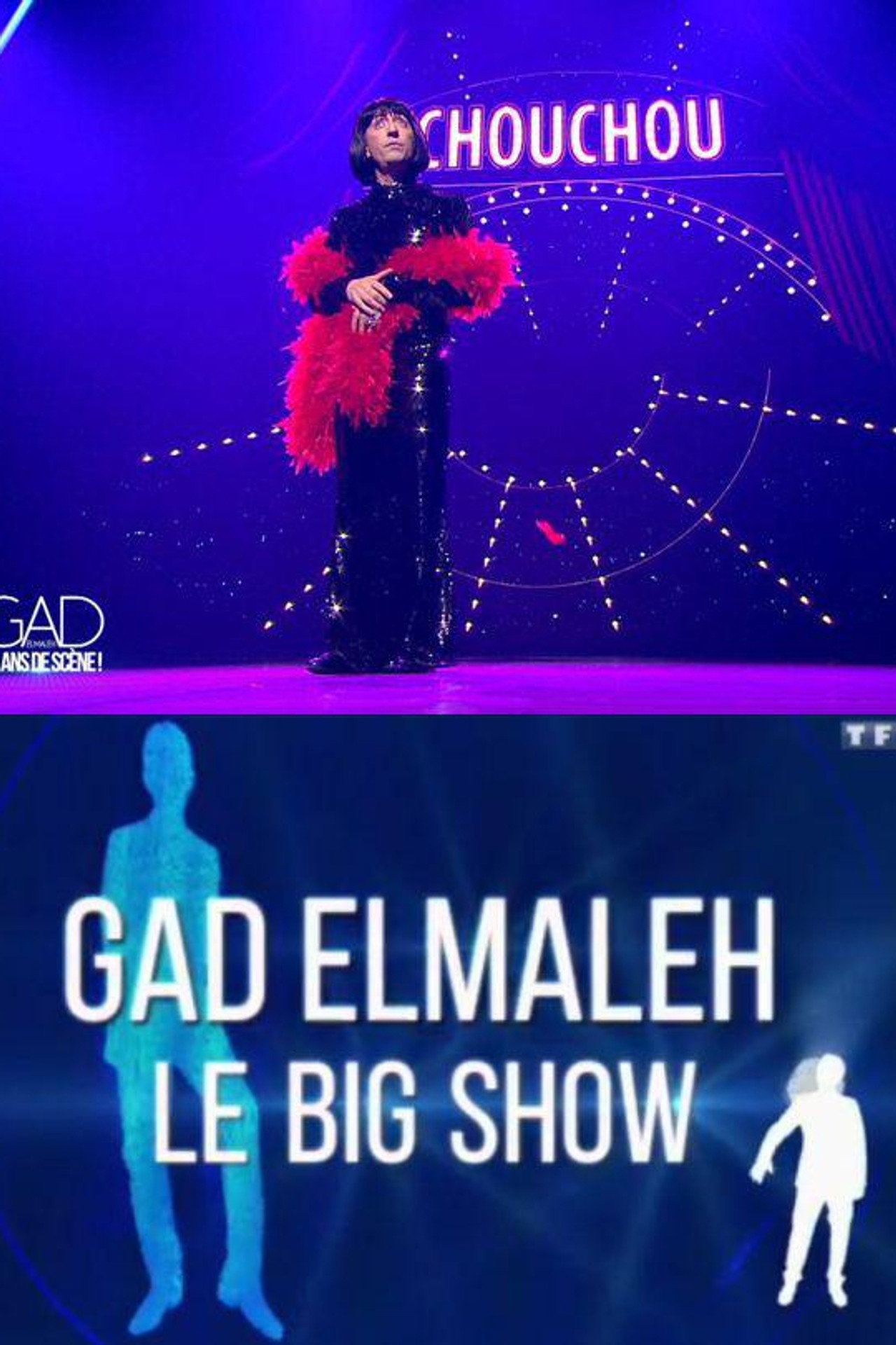 Pôster de Gad Elmaleh - Le Big Show