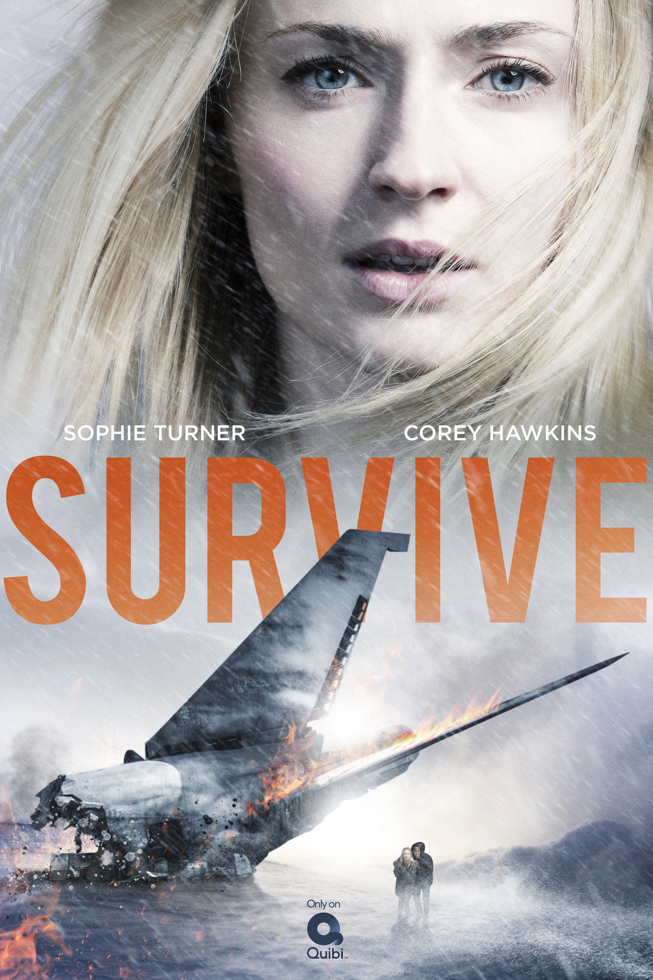Pôster de Survive