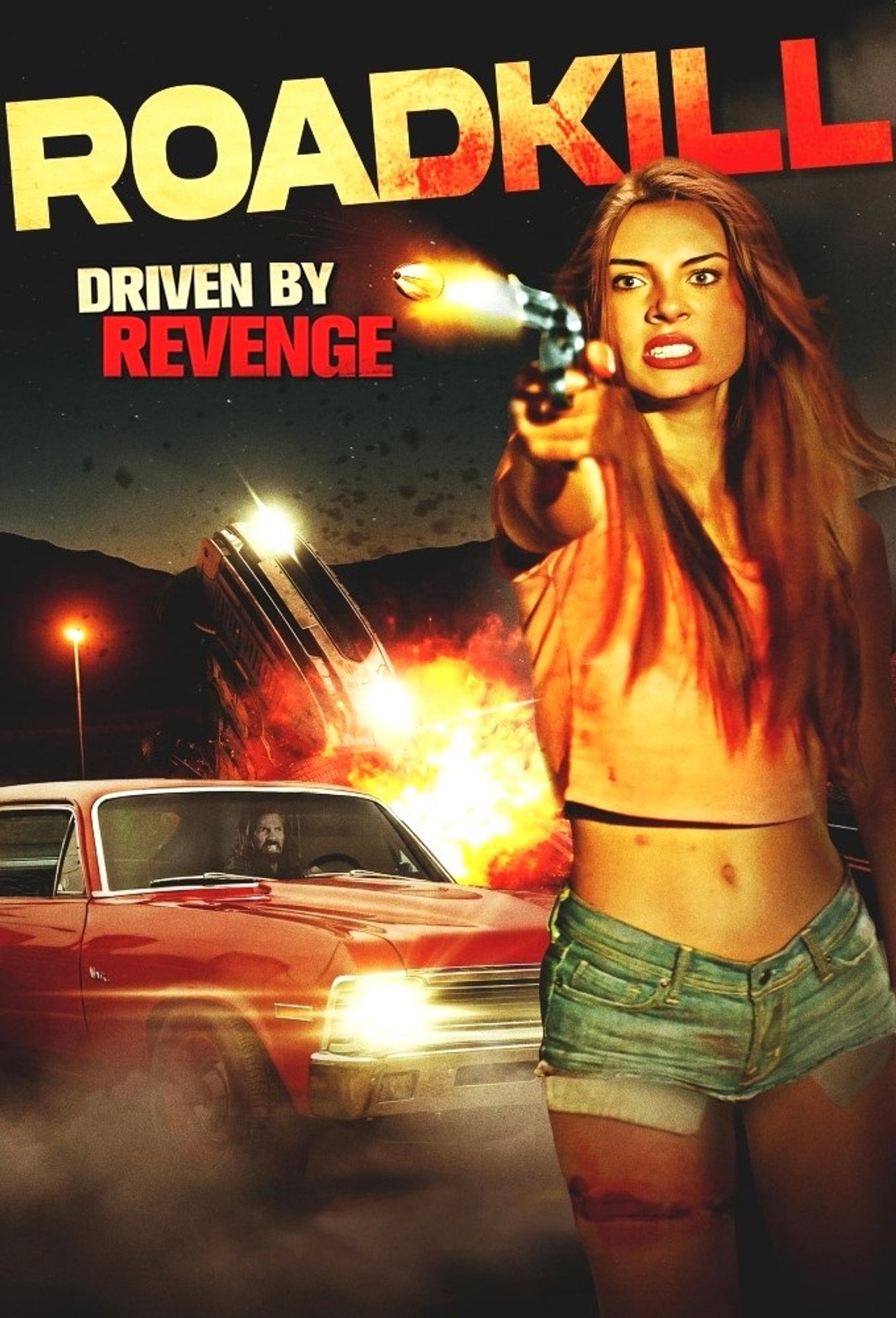 Pôster de Roadkill