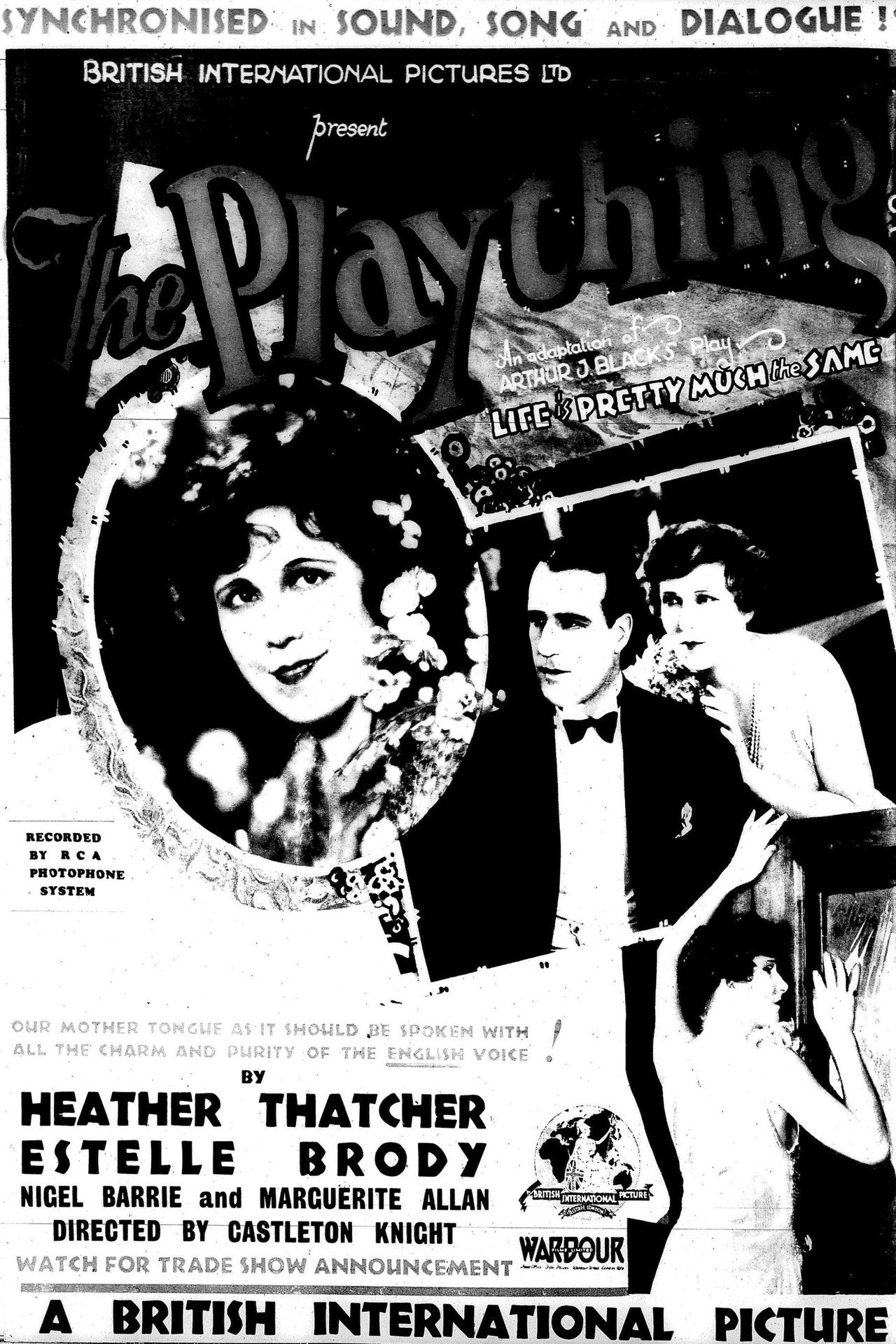Pôster de The Plaything