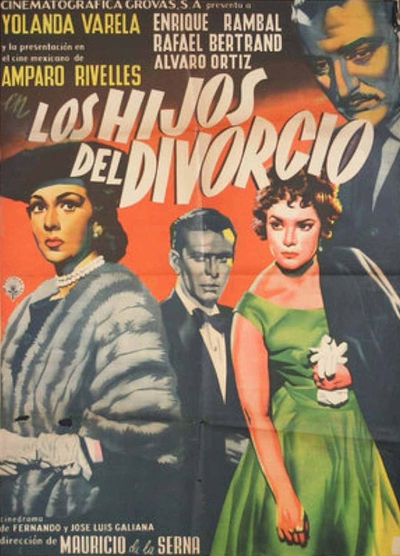 Pôster de Los hijos del divorcio