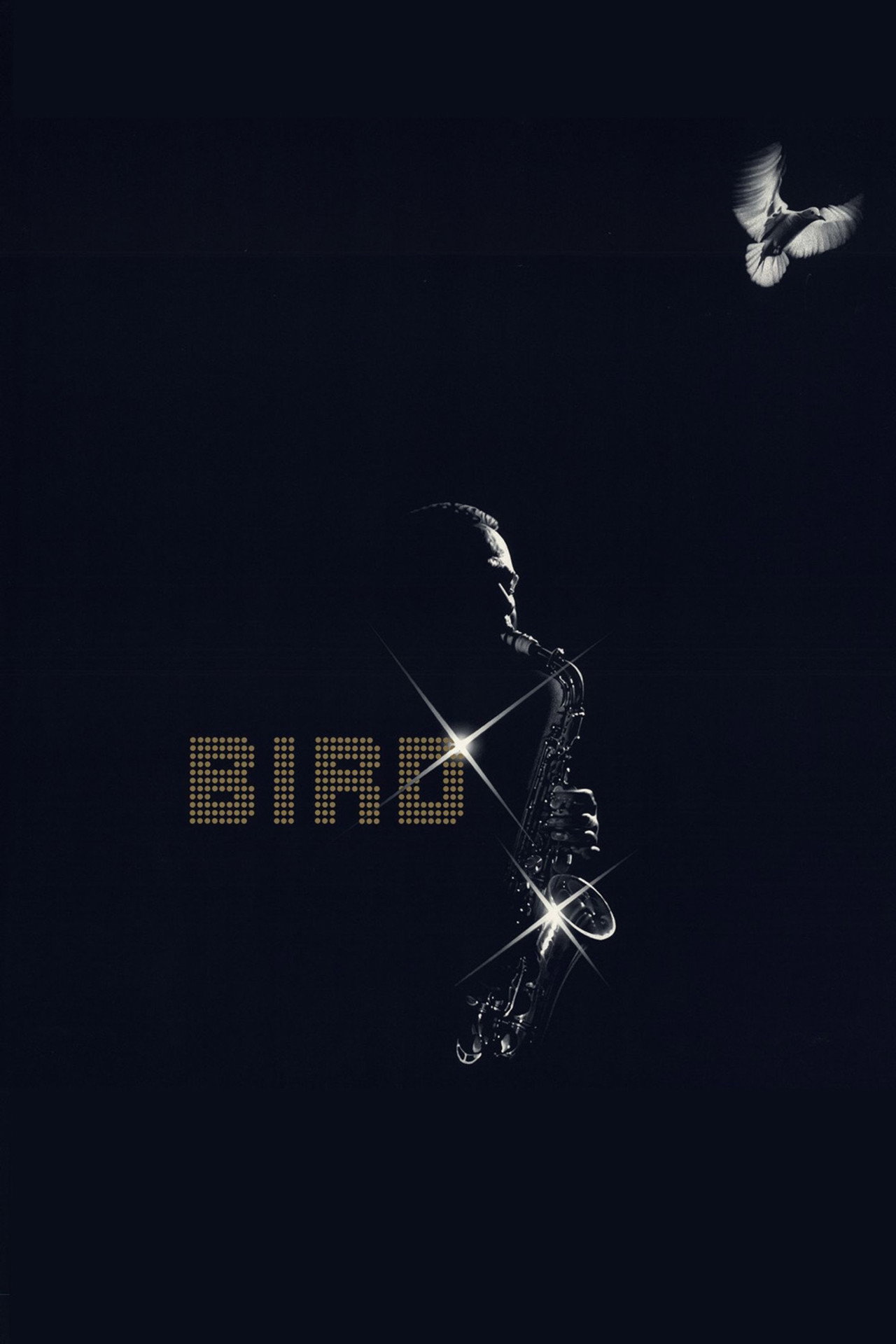 Pôster de Bird