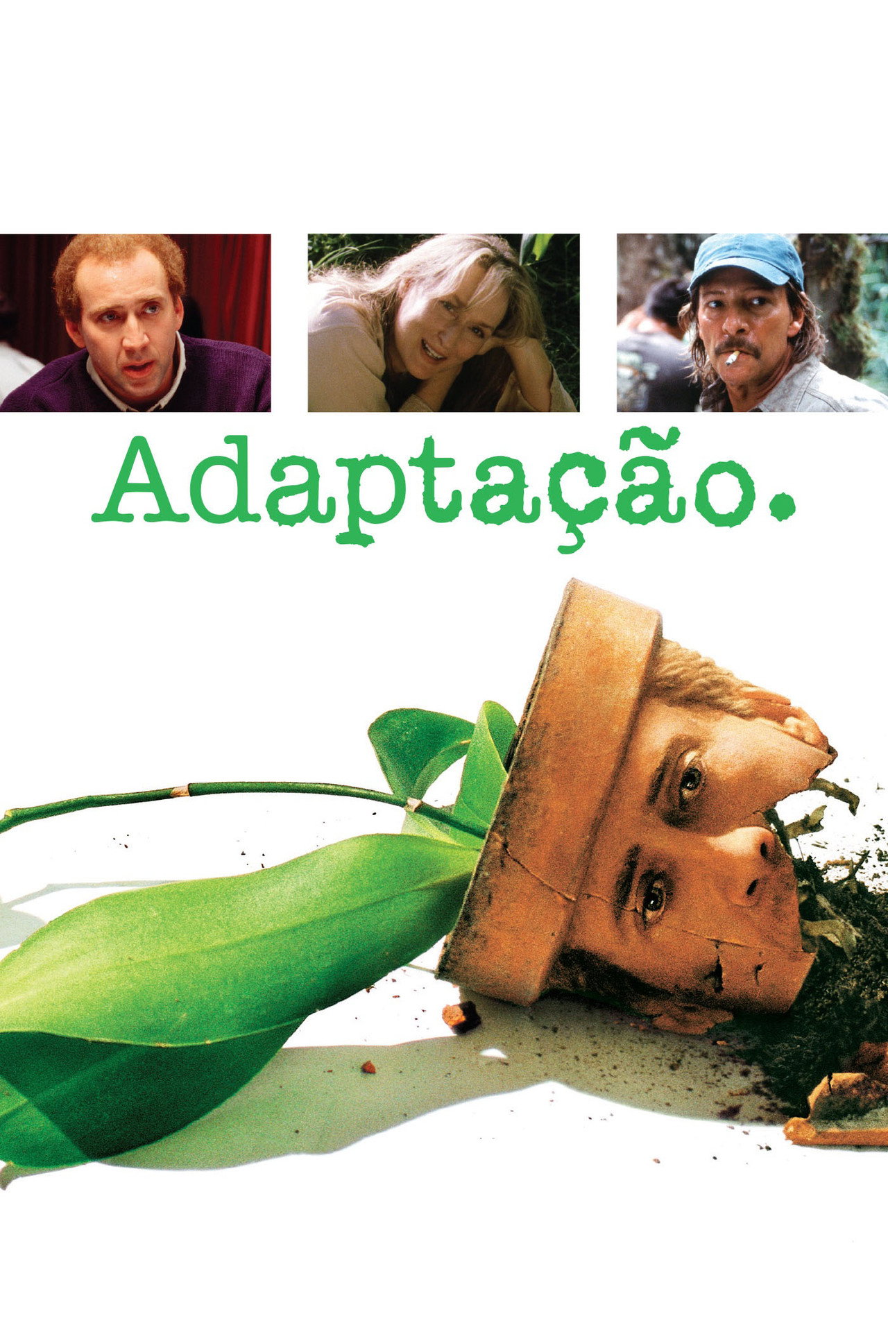 Pôster de Adaptação.