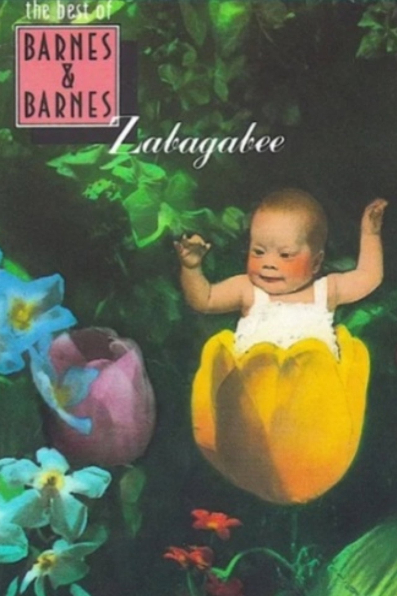 Pôster de Zabagabee