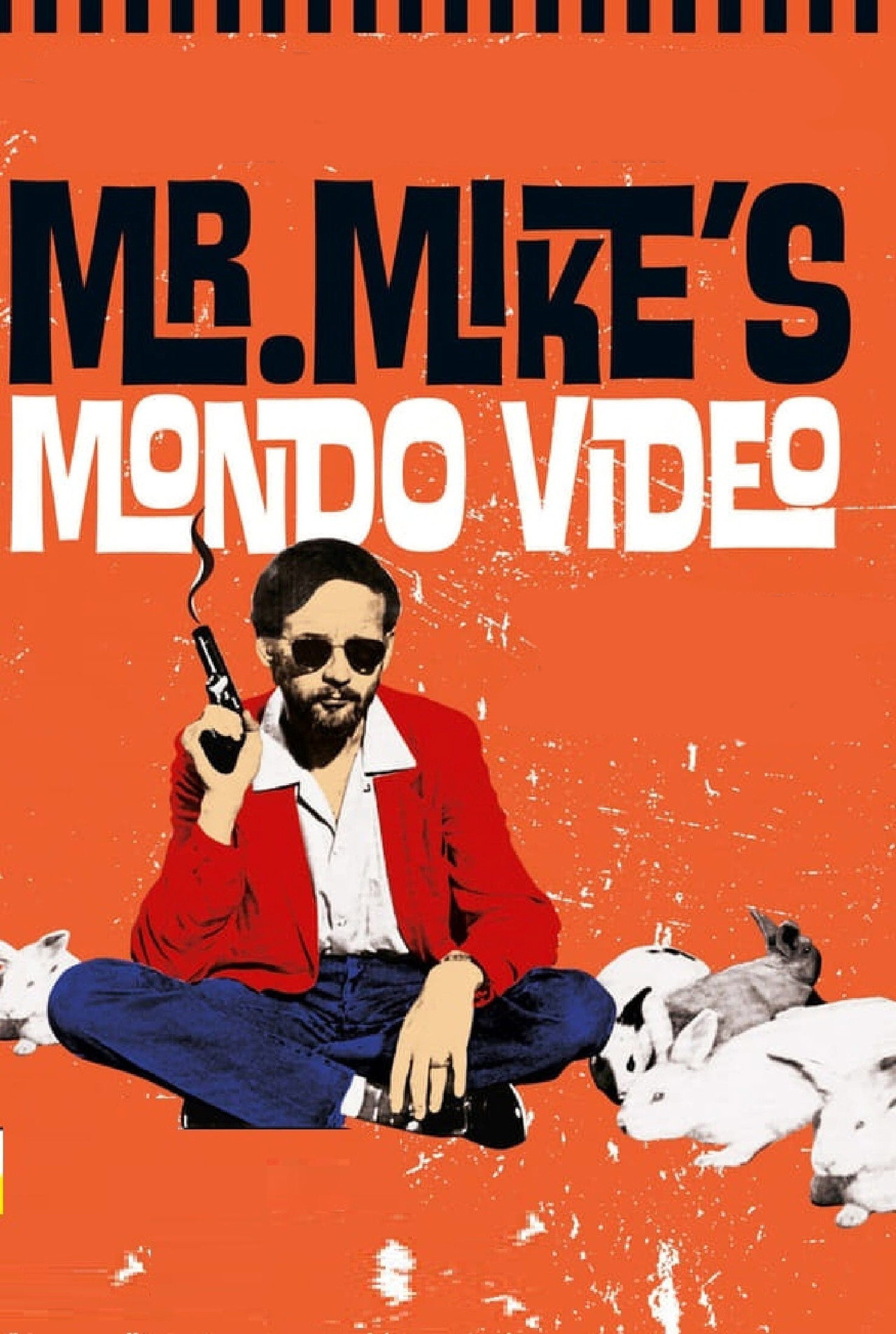 Pôster de Mr. Mike's Mondo Video