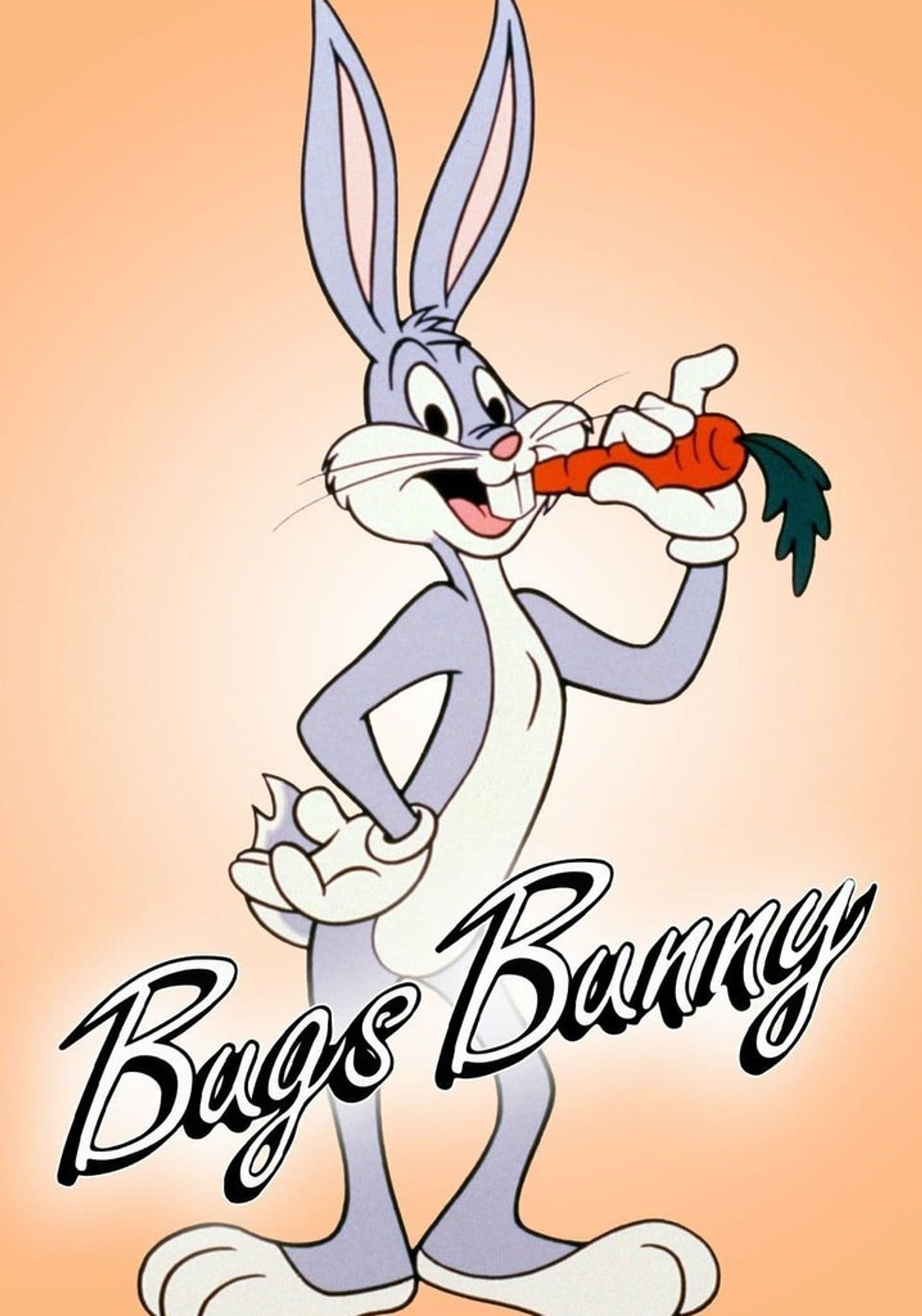 Pôster de The Bugs Bunny Show