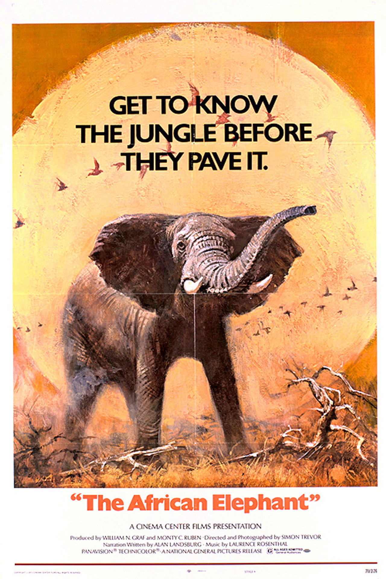 Pôster de The African Elephant