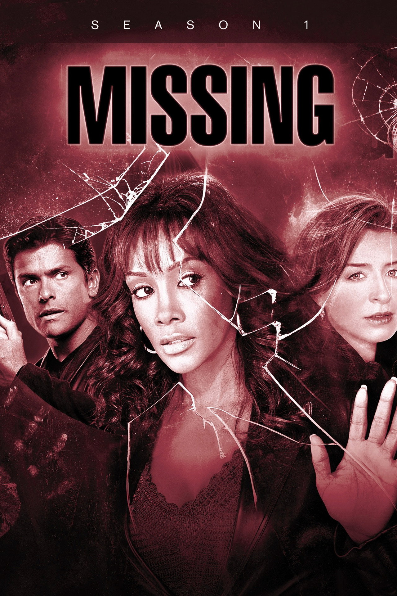 Pôster de Missing