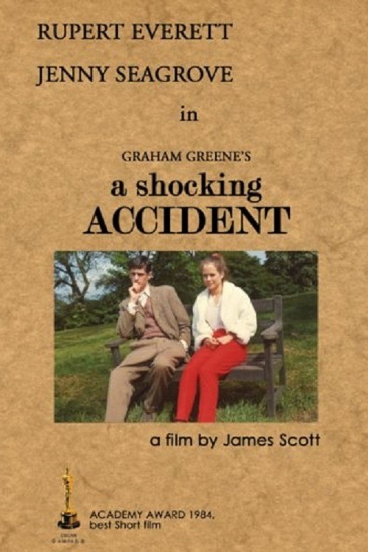 Pôster de A Shocking Accident