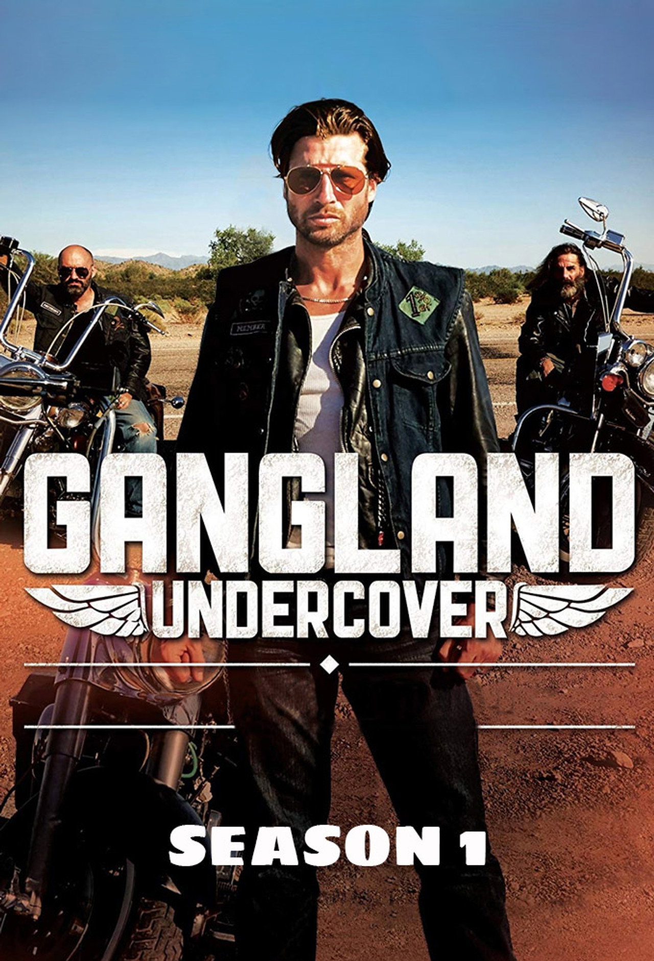 Pôster de Gangland Undercover