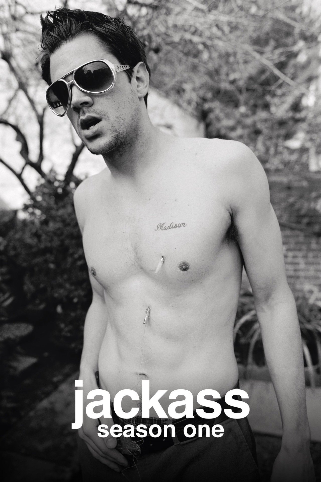 Pôster de Jackass