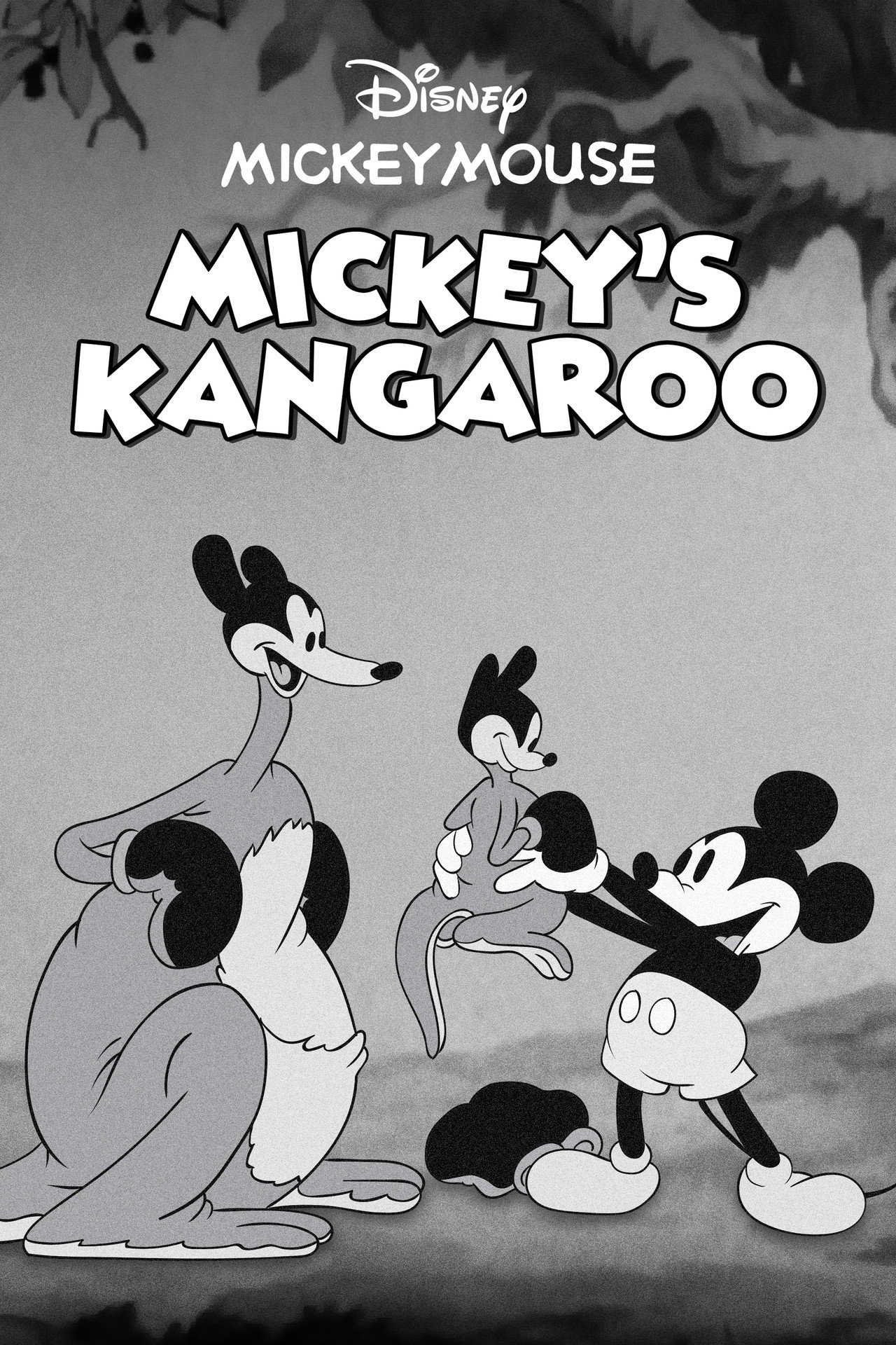 Pôster de Mickey's Kangaroo