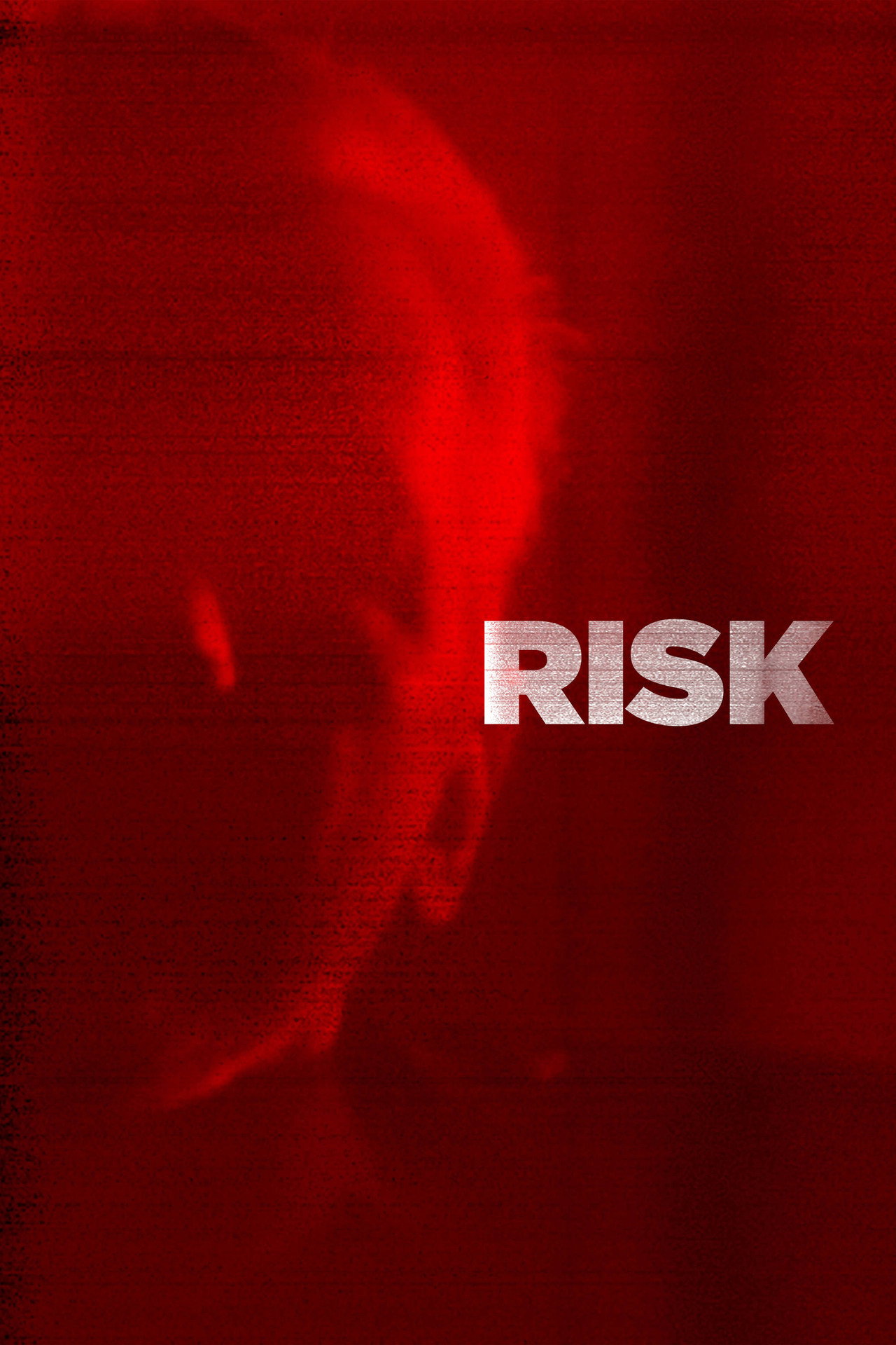Pôster de Risk