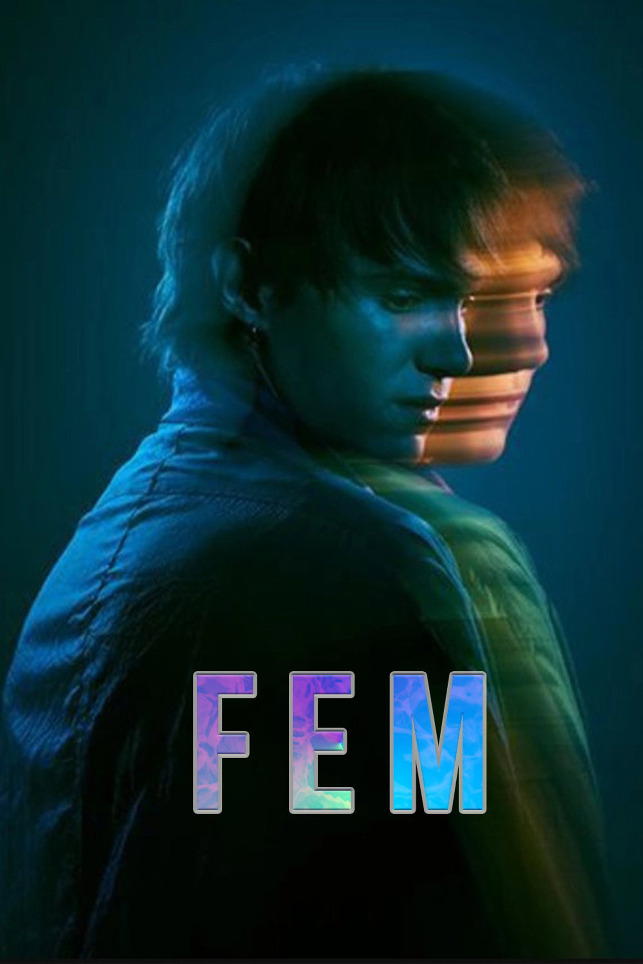 Pôster de FEM